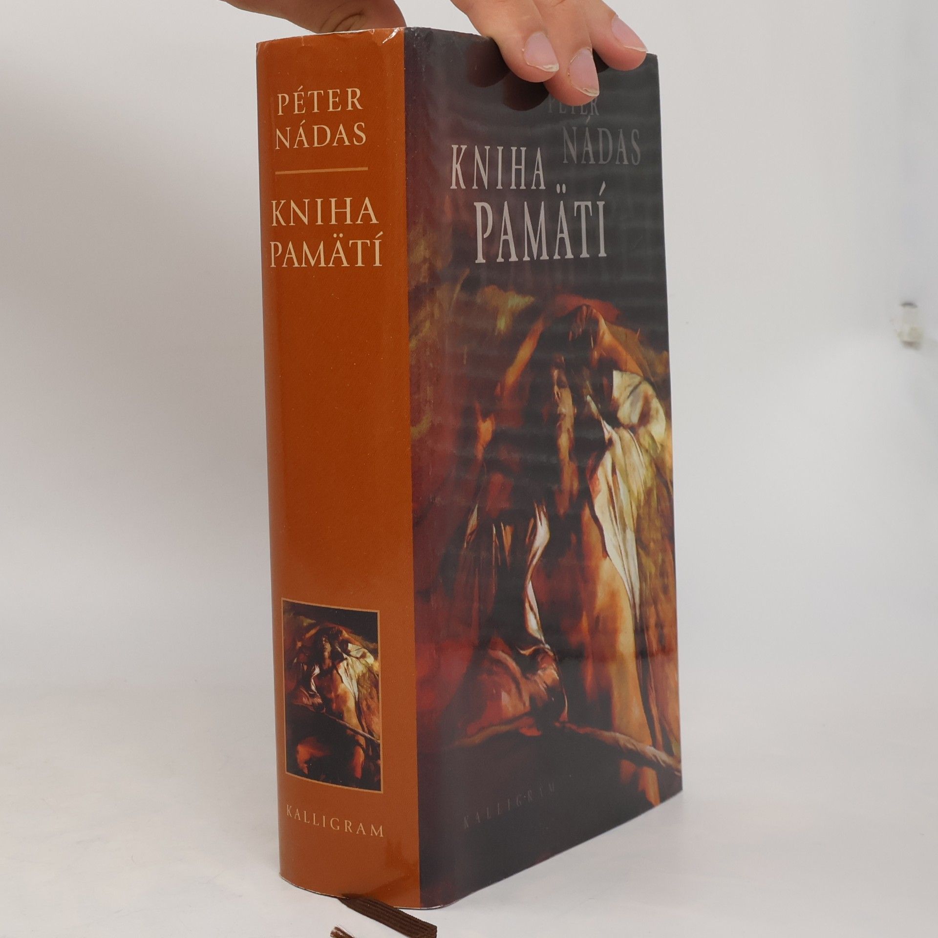 Péter Nádas Kniha pamätí