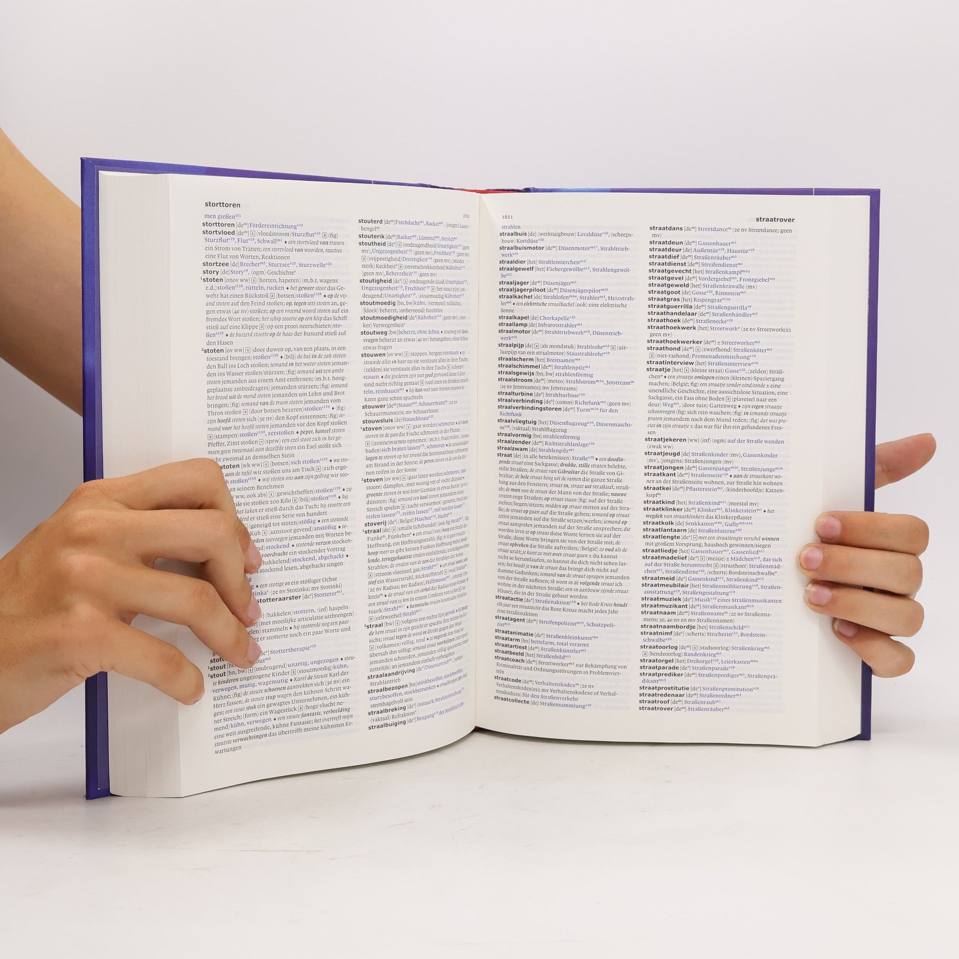 Van Dale Groot woordenboek Nederlands-Duits