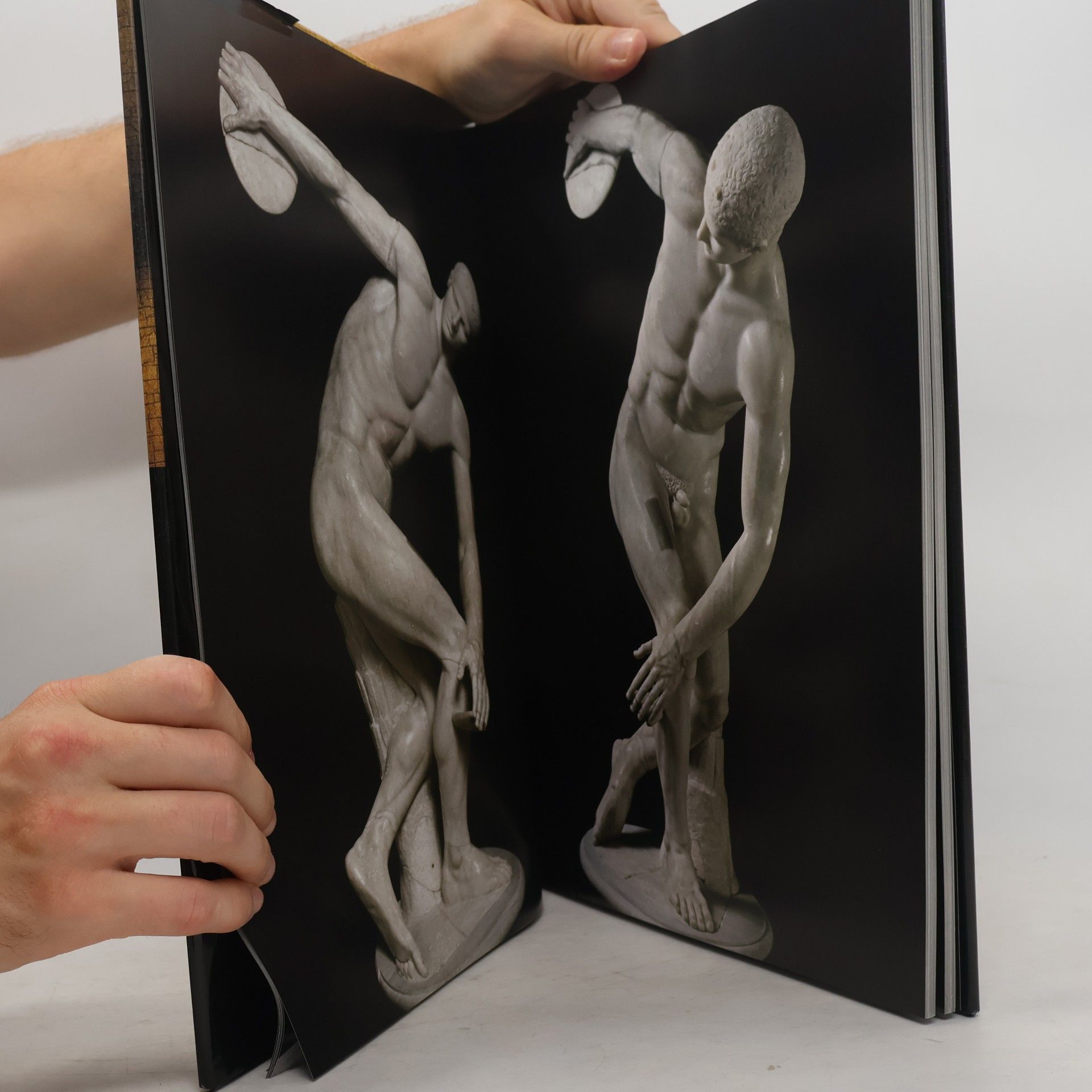 Lucia Gasparini Erlebte Kunstgeschichte