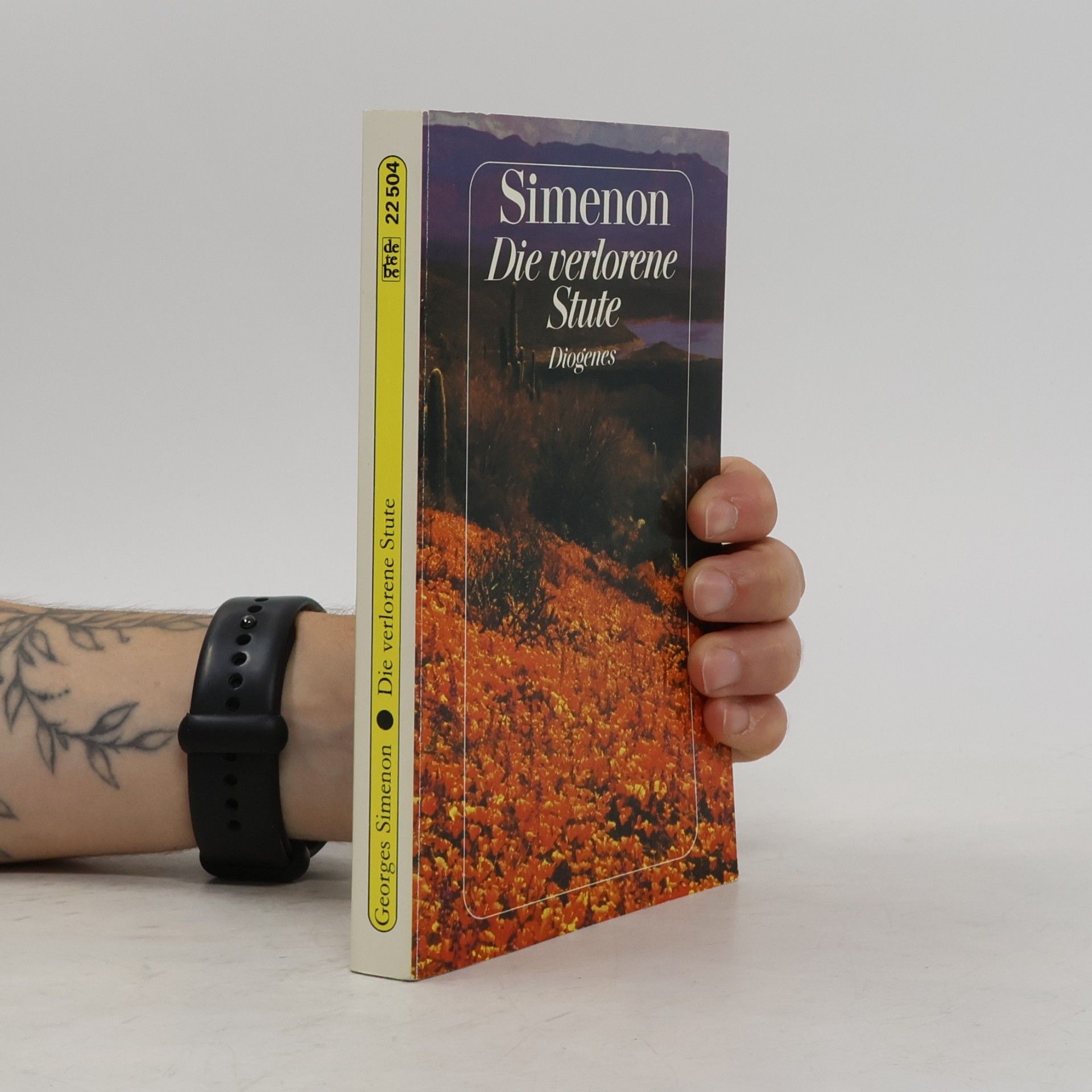 Georges Simenon Die verlorene Stute