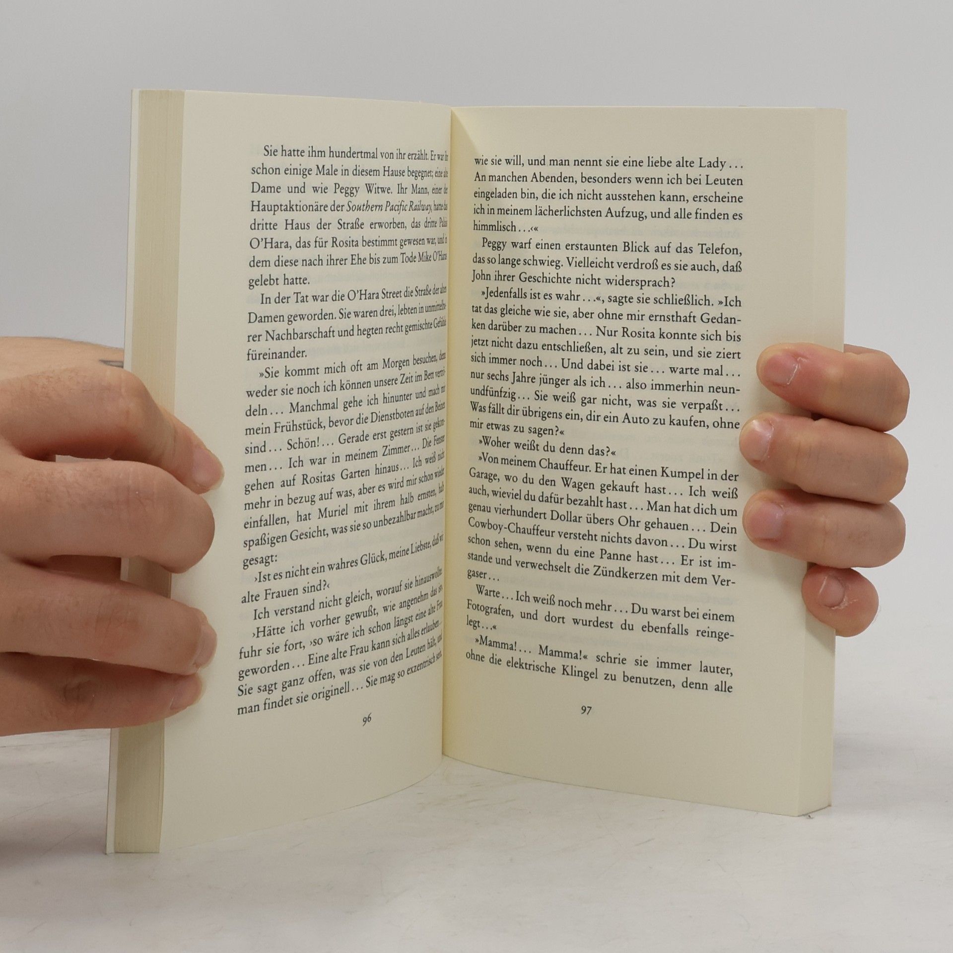 Georges Simenon Die verlorene Stute