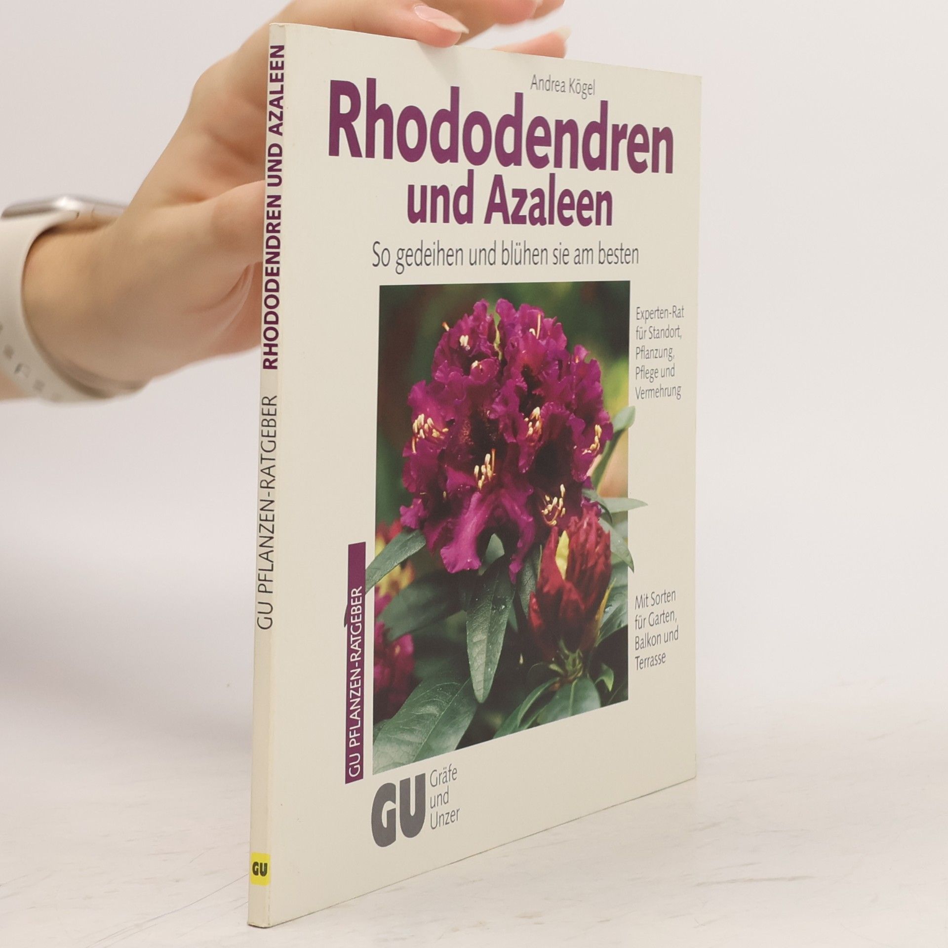 Andrea Kögel Rhododendren und Azaleen