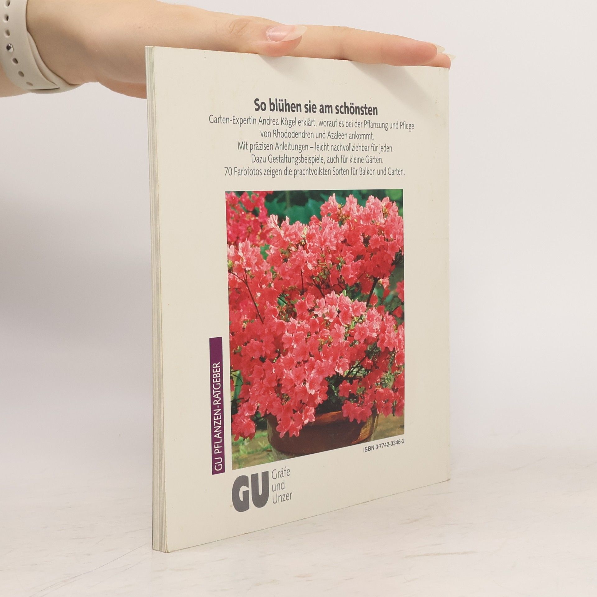Andrea Kögel Rhododendren und Azaleen