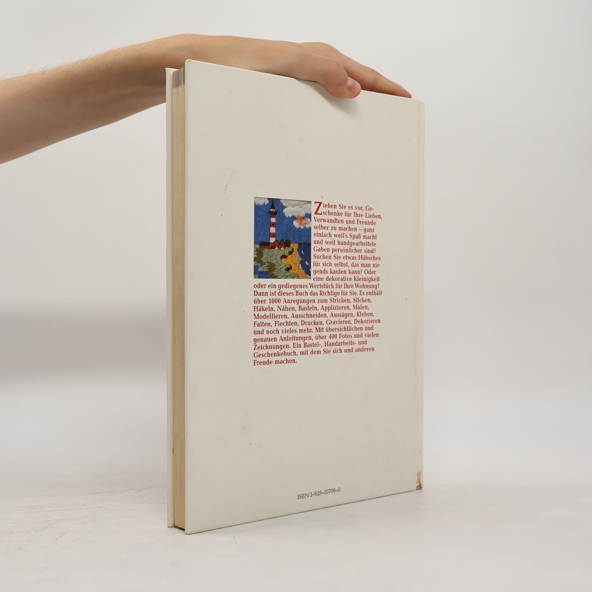 Johannes Haller Das grosse Geschenke- & [und] Bastelbuch