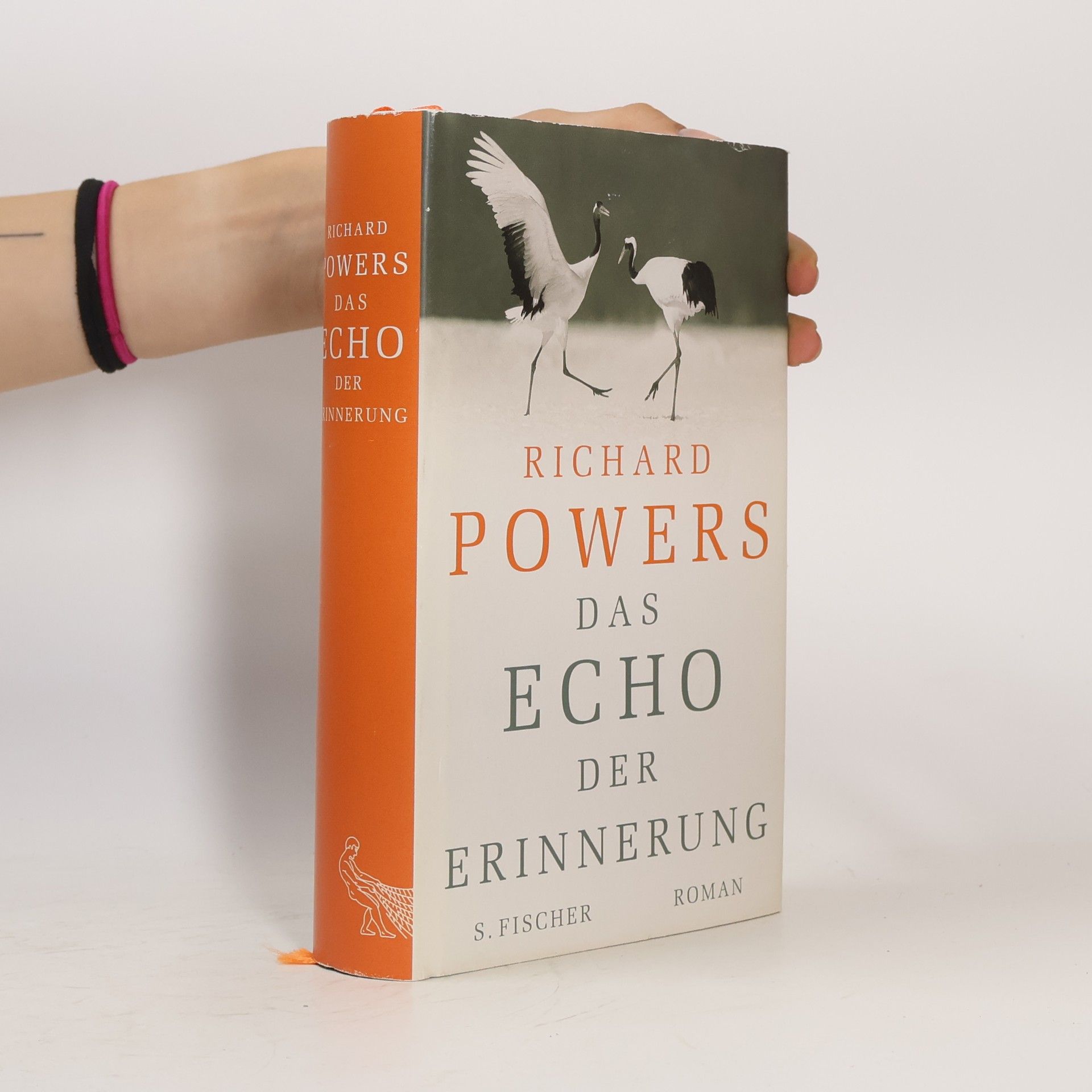 Richard Powers Das Echo der Erinnerung