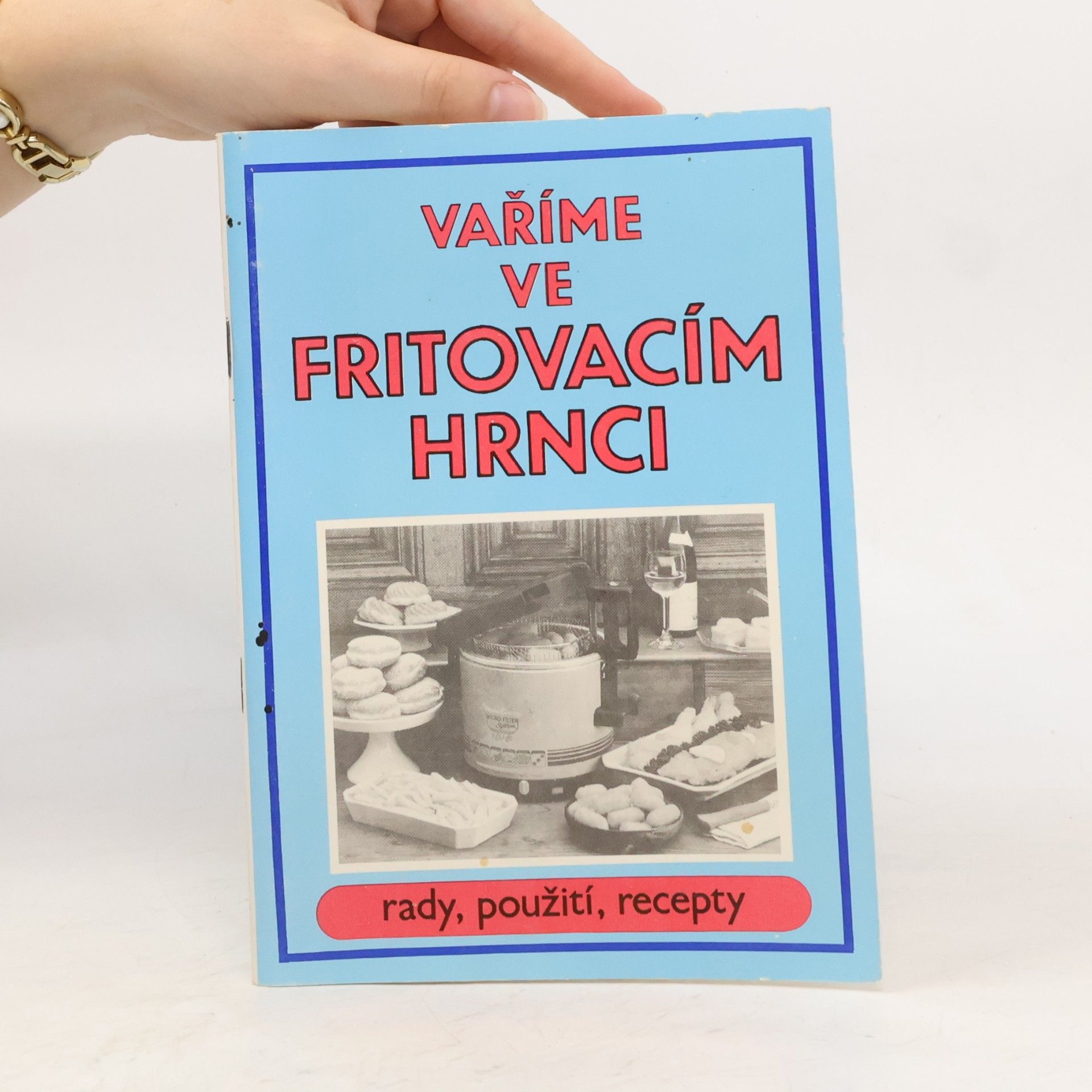 Autorenkollektiv Vaříme ve fritovacím hrnci