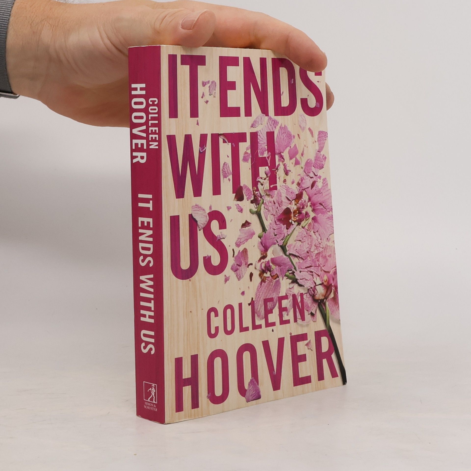 Colleen Hoover It Ends With Us