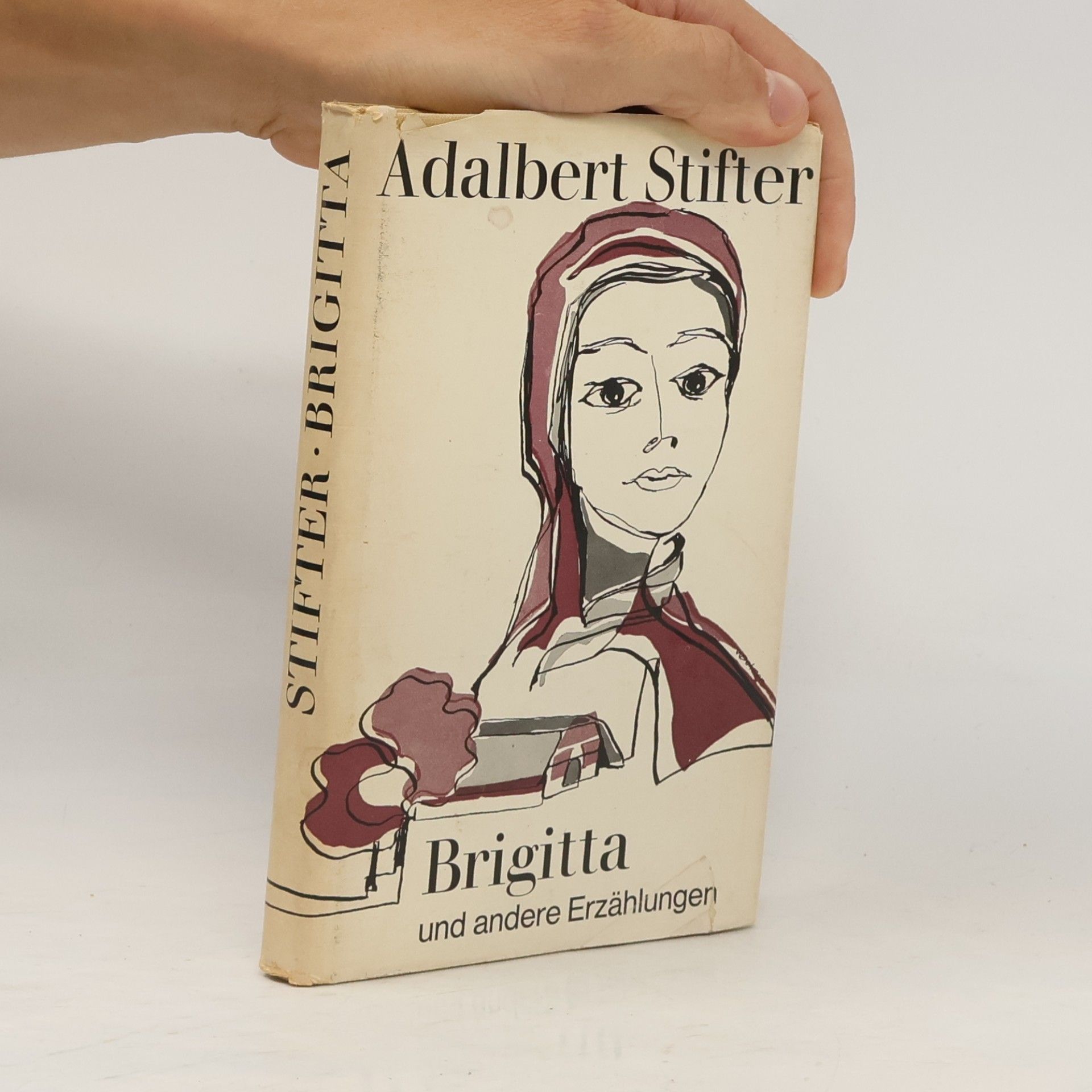 Adalbert Stifter Brigitta und andere Erzählungen