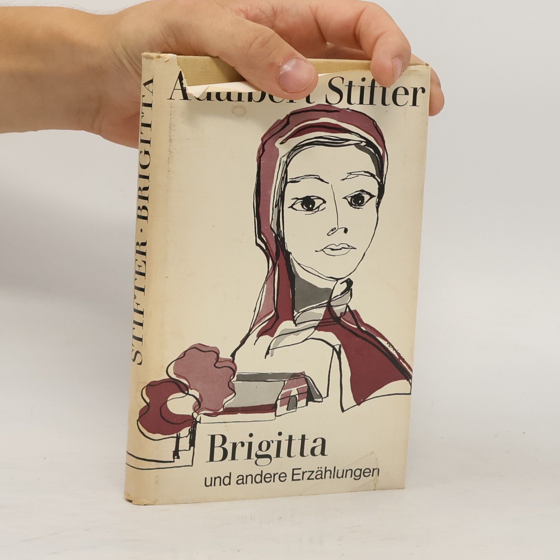 Adalbert Stifter Brigitta und andere Erzählungen