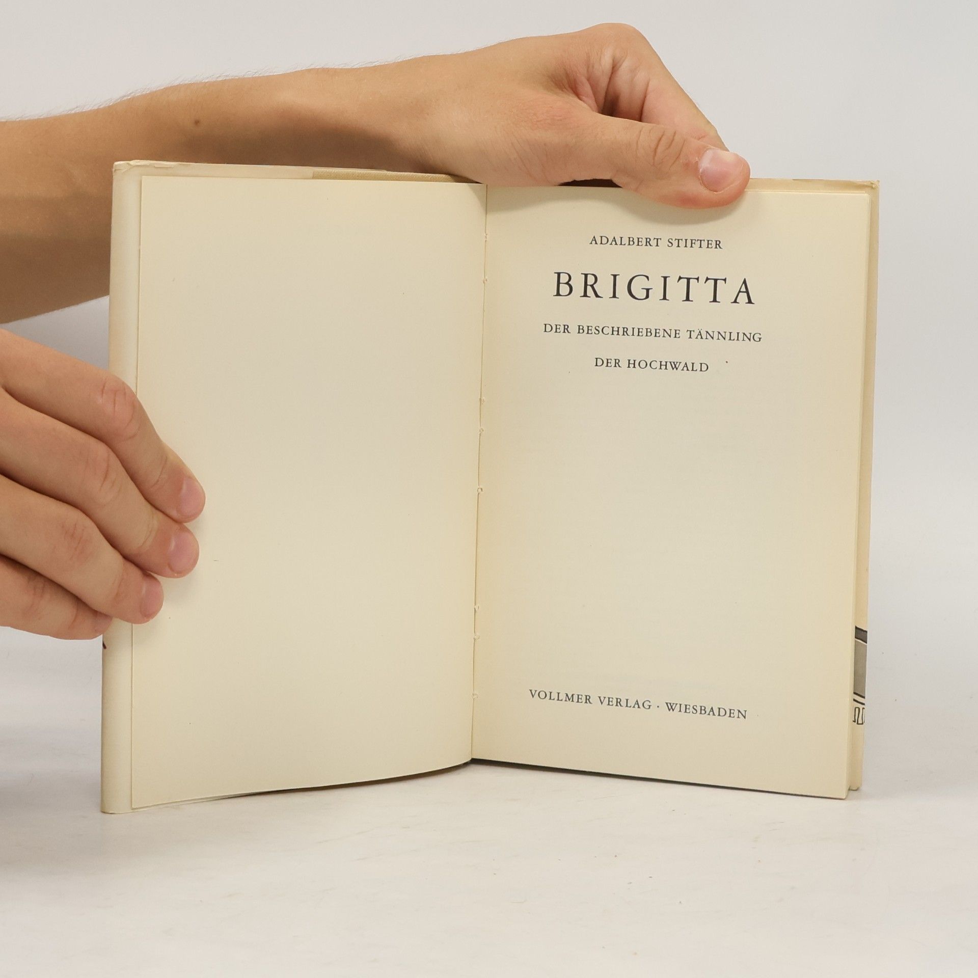 Adalbert Stifter Brigitta und andere Erzählungen