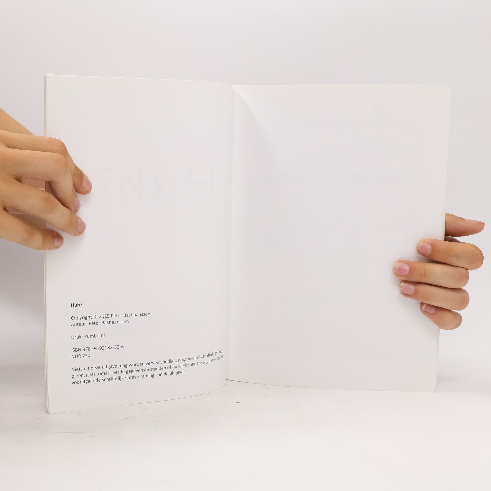 Peter Bastiaanssen De Geïllustreerde Encyclopedie van de Kunst van het Denken - 1: Huh?