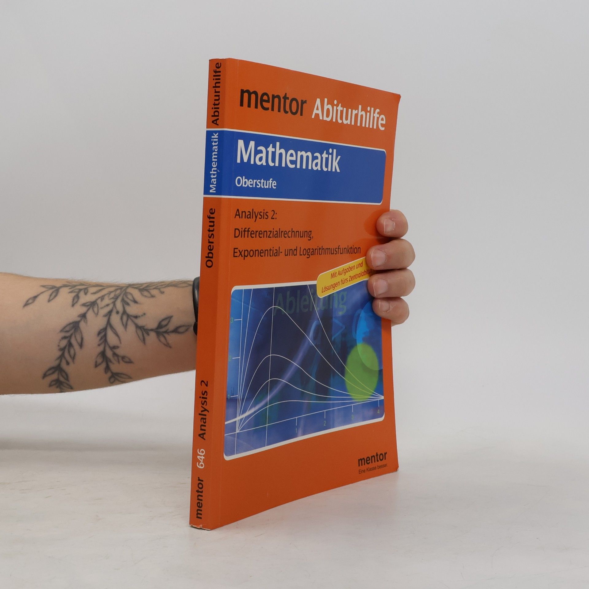 Helmuth Preckur Mathematik Analysis 2