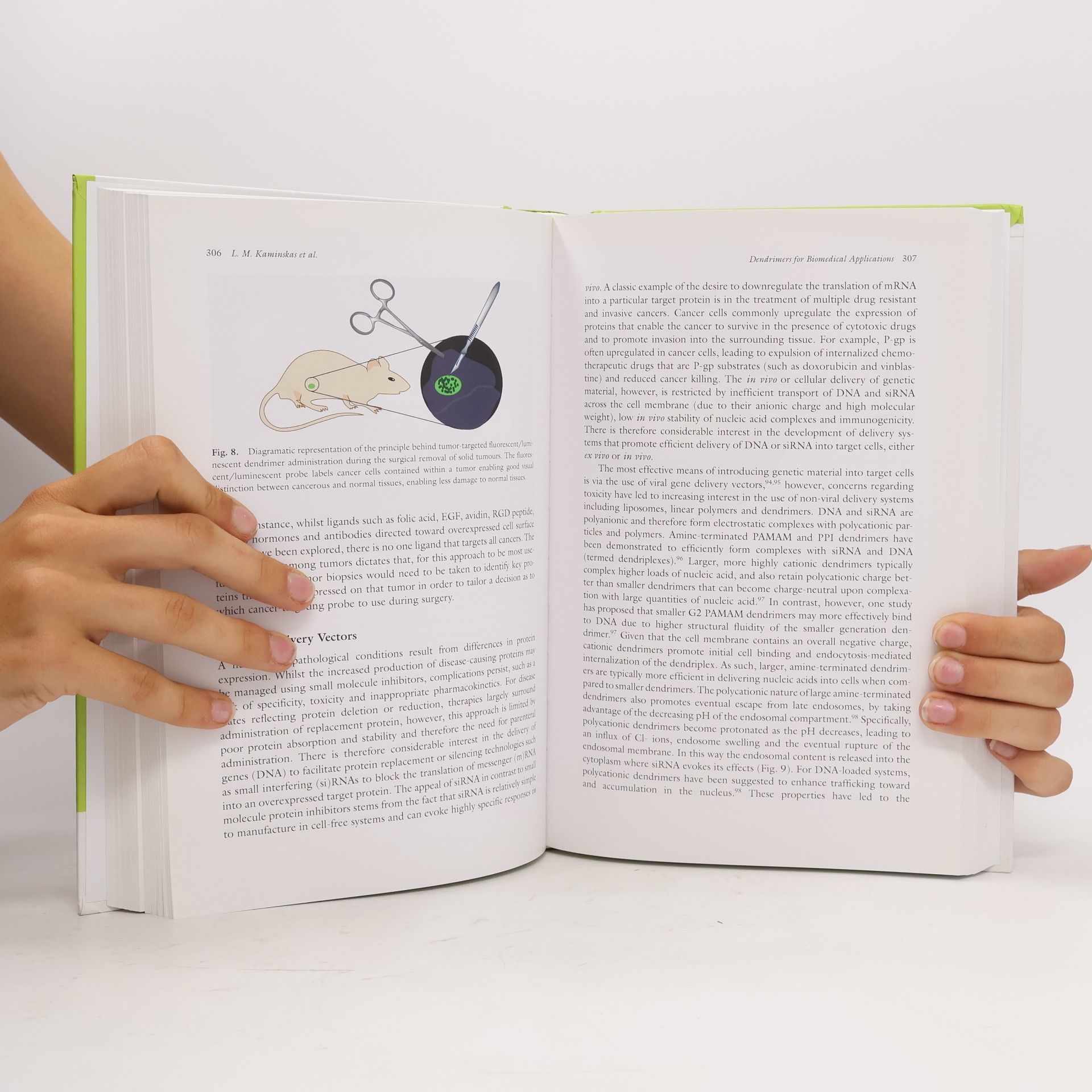 Vladimir P. Torchilin Frontiers in Nanobiomedical Research - 3: Handbook of Nanobiomedical Research