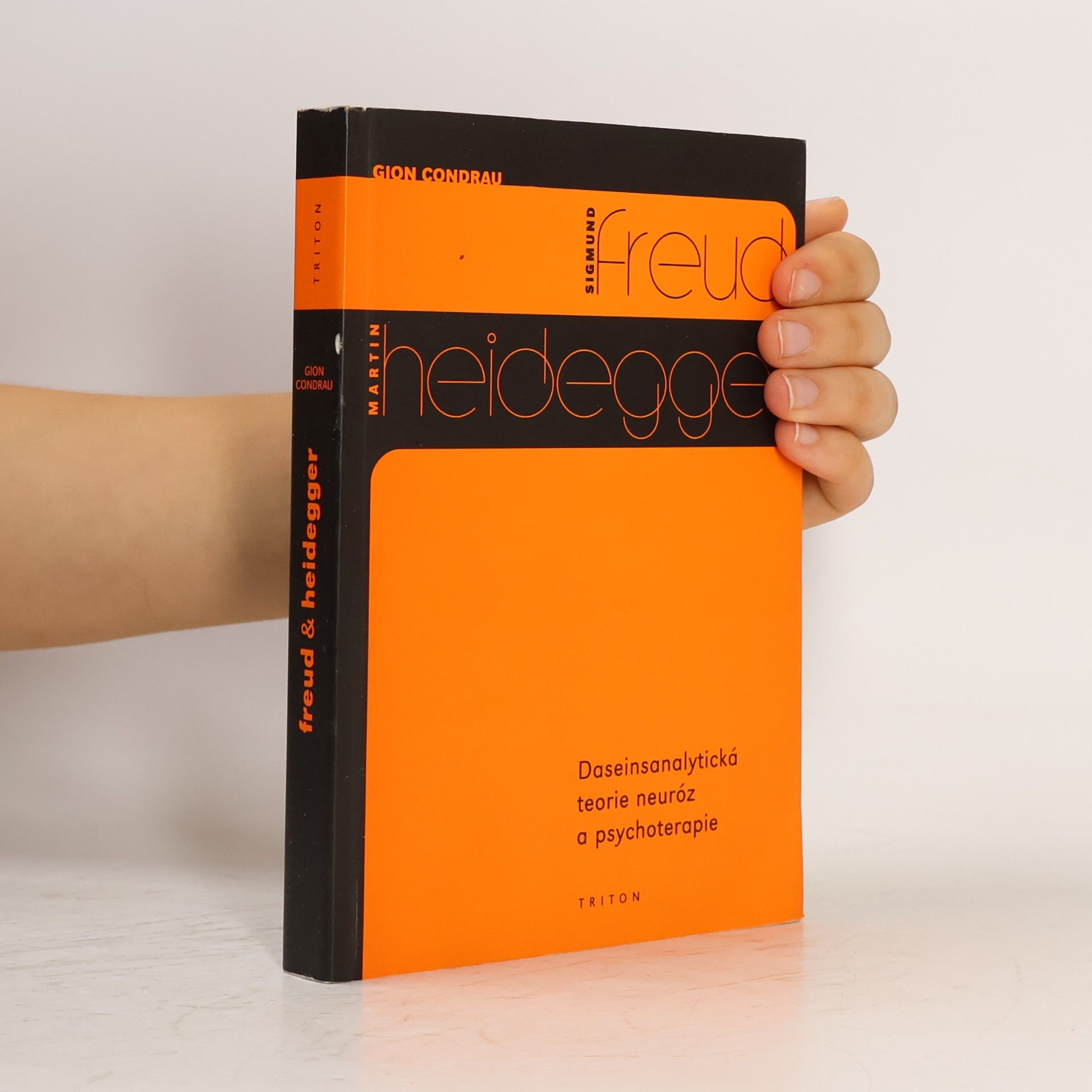 Sigmund Freud & Martin Heidegger : daseinsanalytická teorie neuróz a psychoterapie