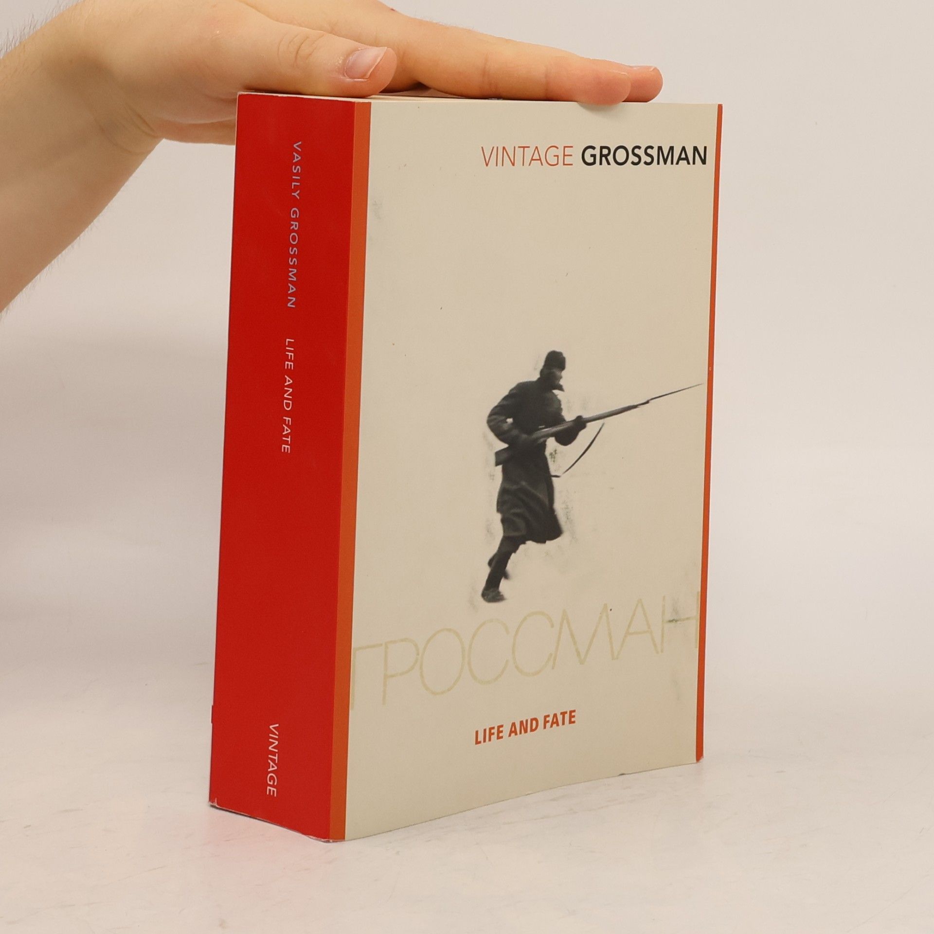 Vasilii Semenovich Grossman Life and fate