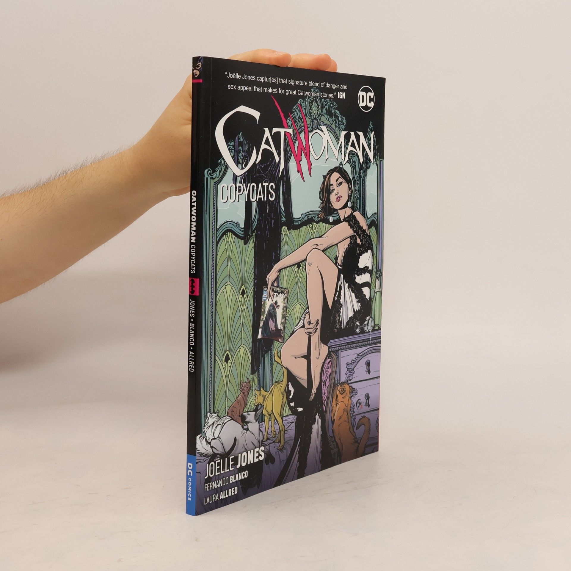 Catwoman Vol. 1
