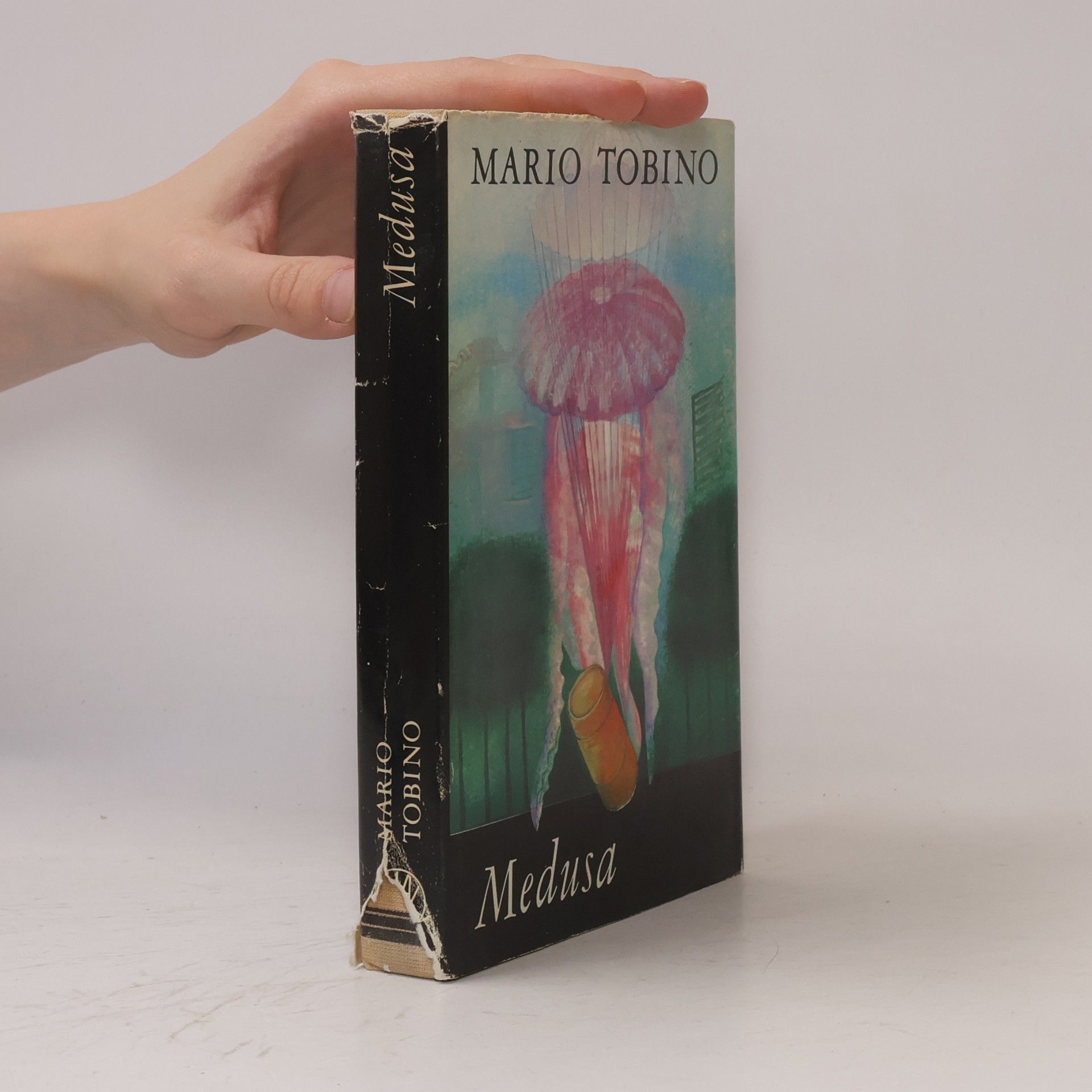 Mario Tobino Medusa