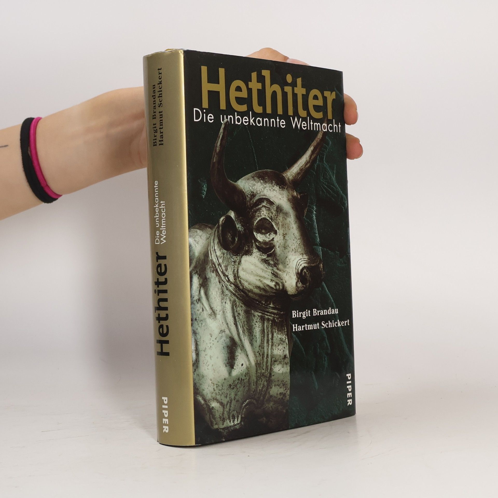 Birgit Brandau Hethiter