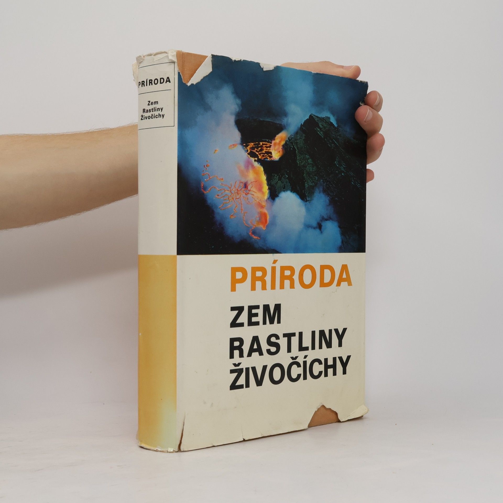 Mikuláš Lisický Príroda. Zem, rastliny, živočíchy