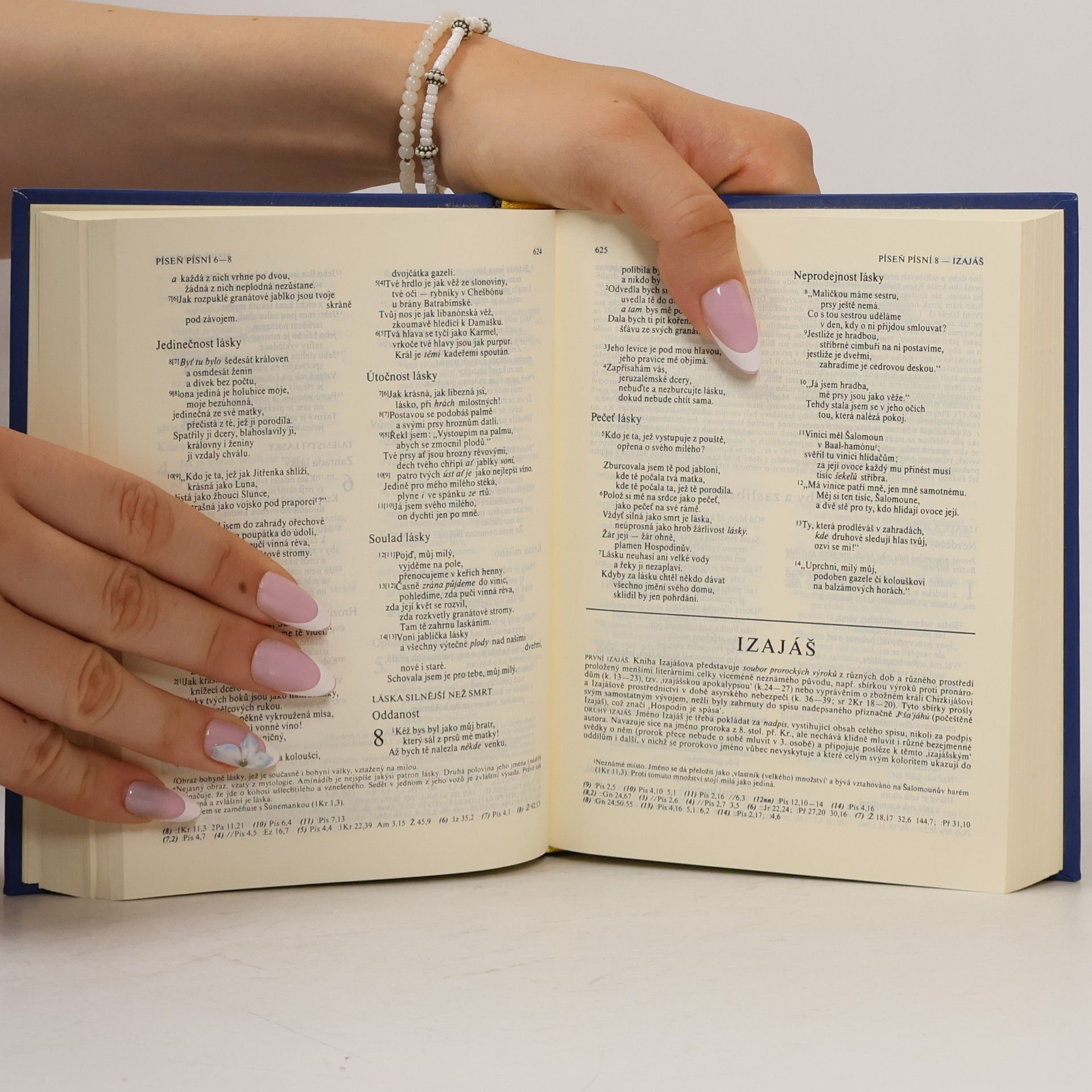 Autorenkollektiv Bible: Písmo svaté starého a nového zákona včetně deuterokanonických knih