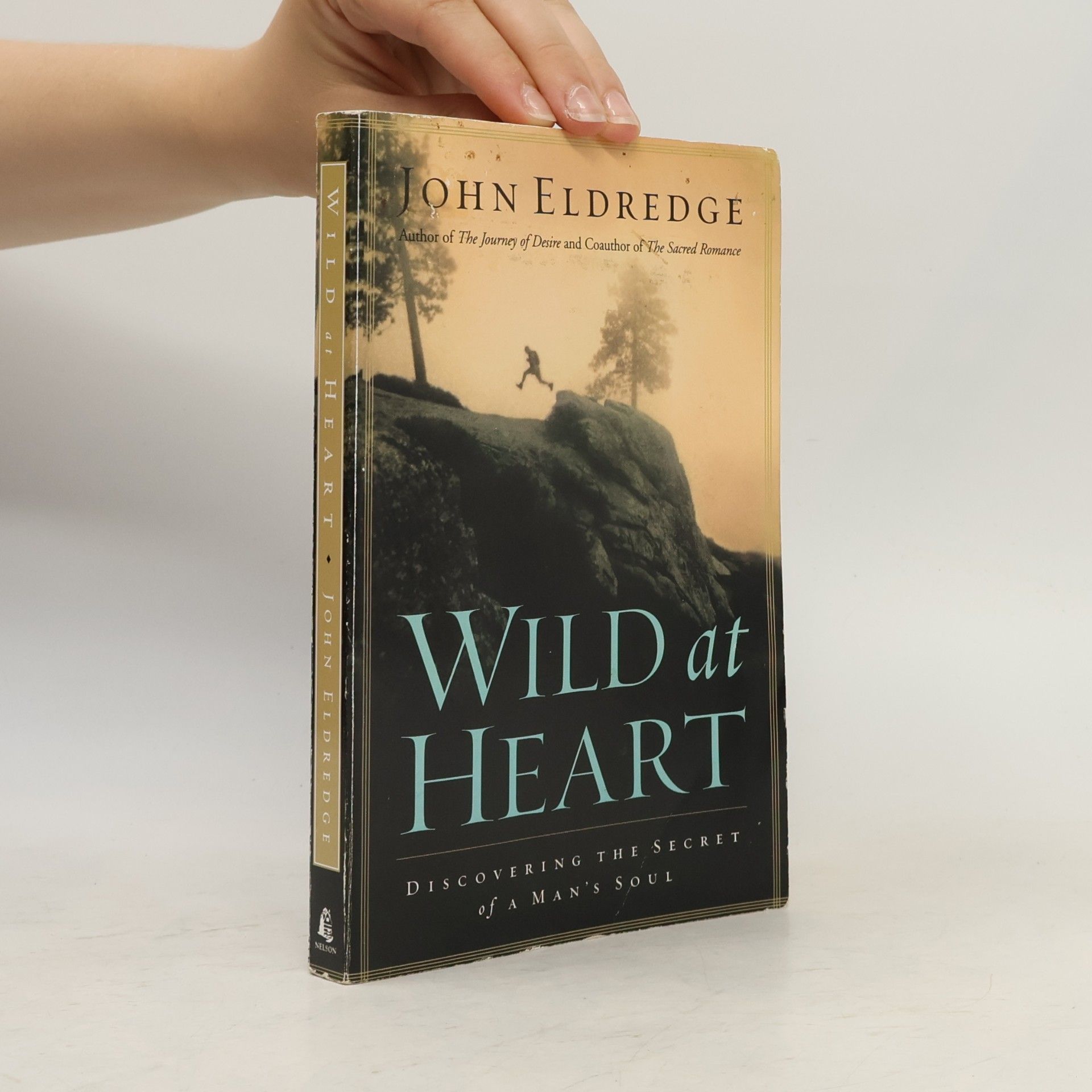 John Eldredge Wild at Heart