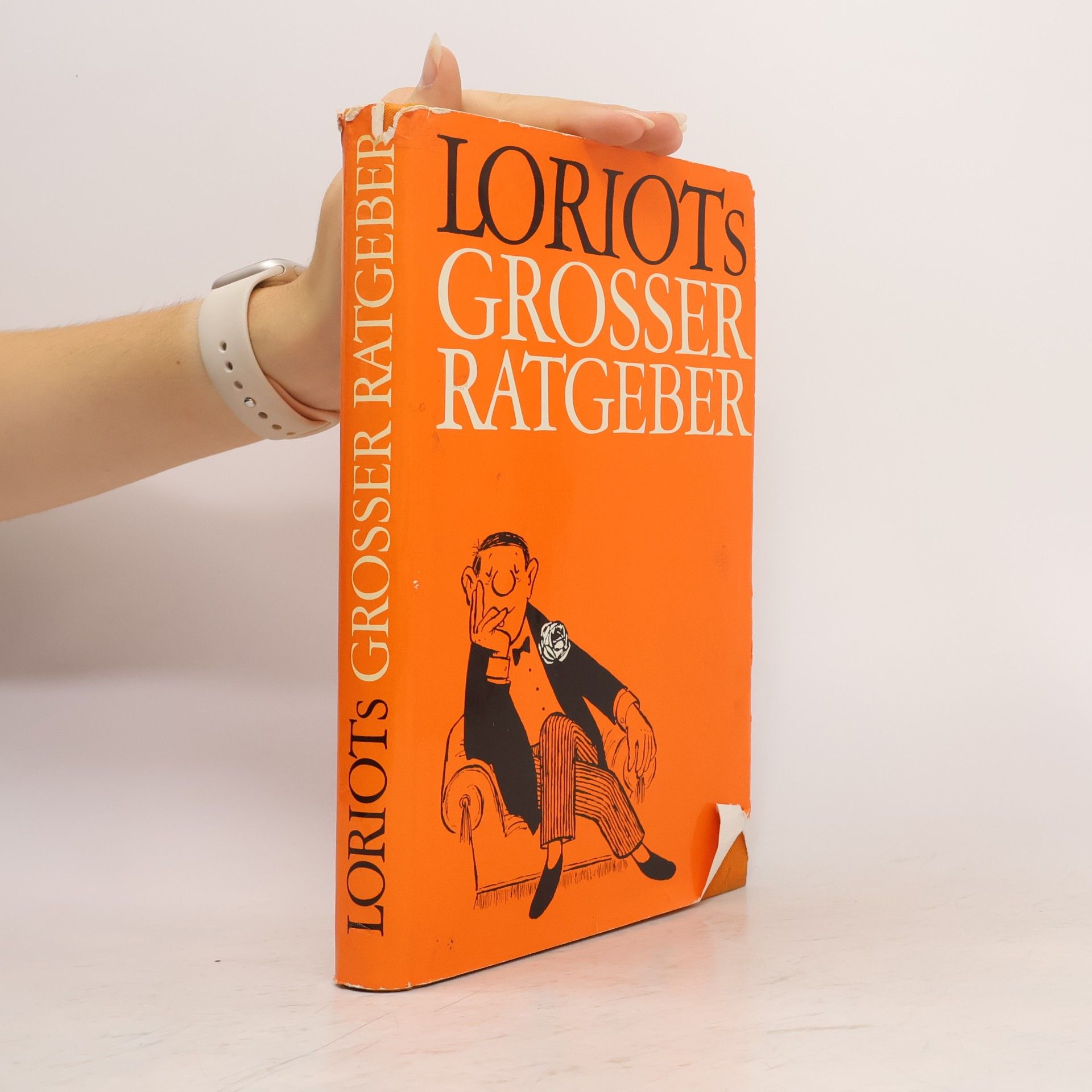 Loriot Loriots Grosser Ratgeber