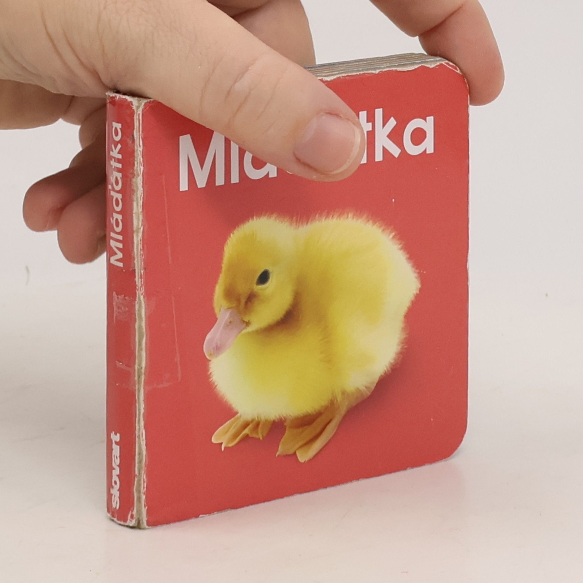 Autorenkollektiv Mláďátka