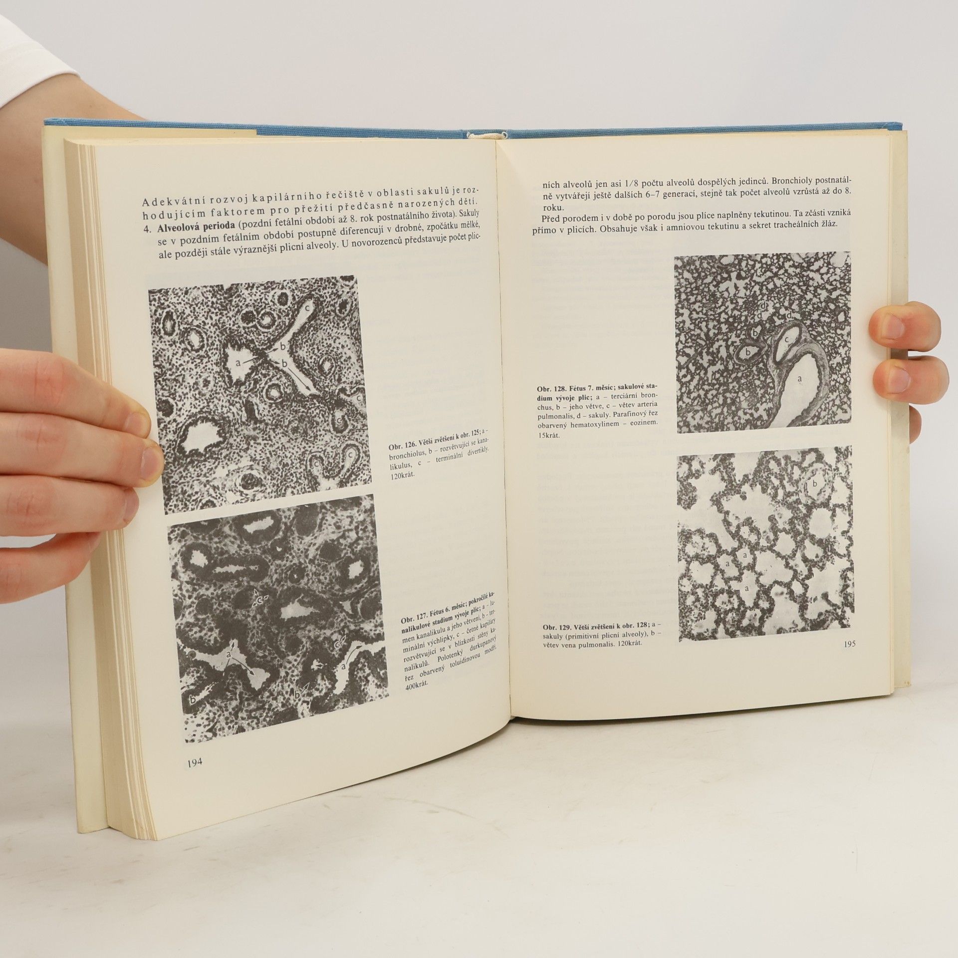 Eduard Klika Embryologie