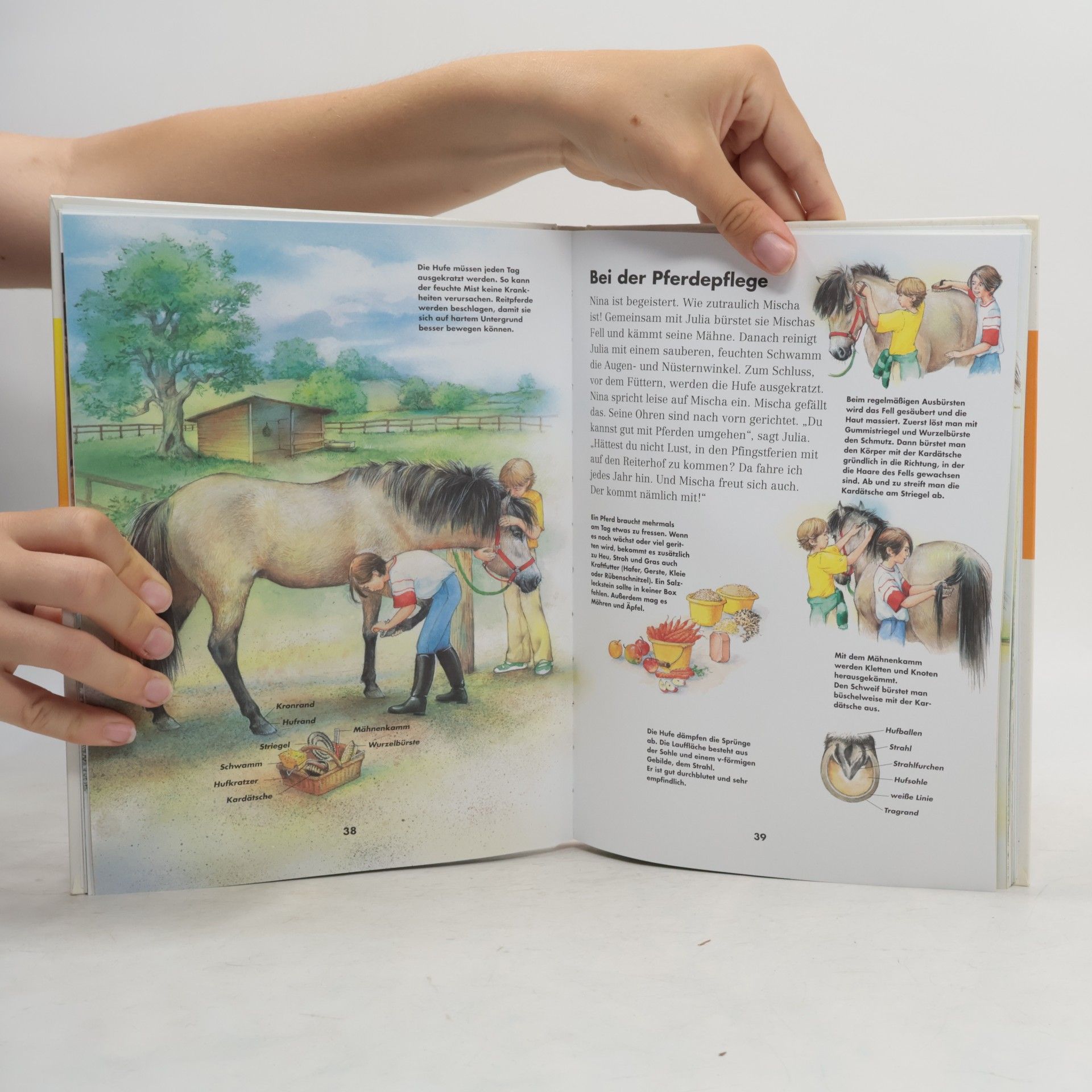 Giampietro Costa Natur und Tiere - mein erstes Wissensbuch
