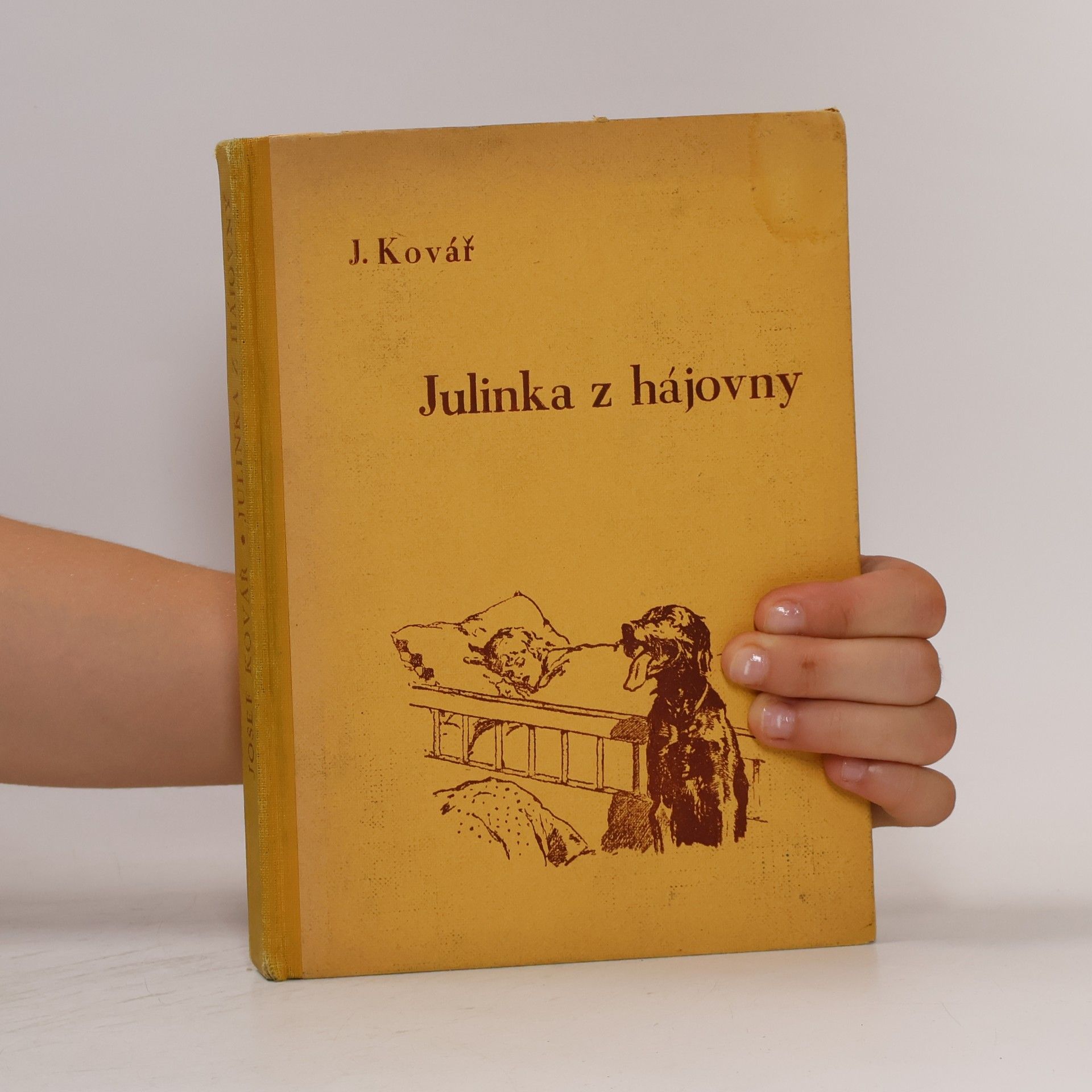 Josef Kovář Julinka z hájovny
