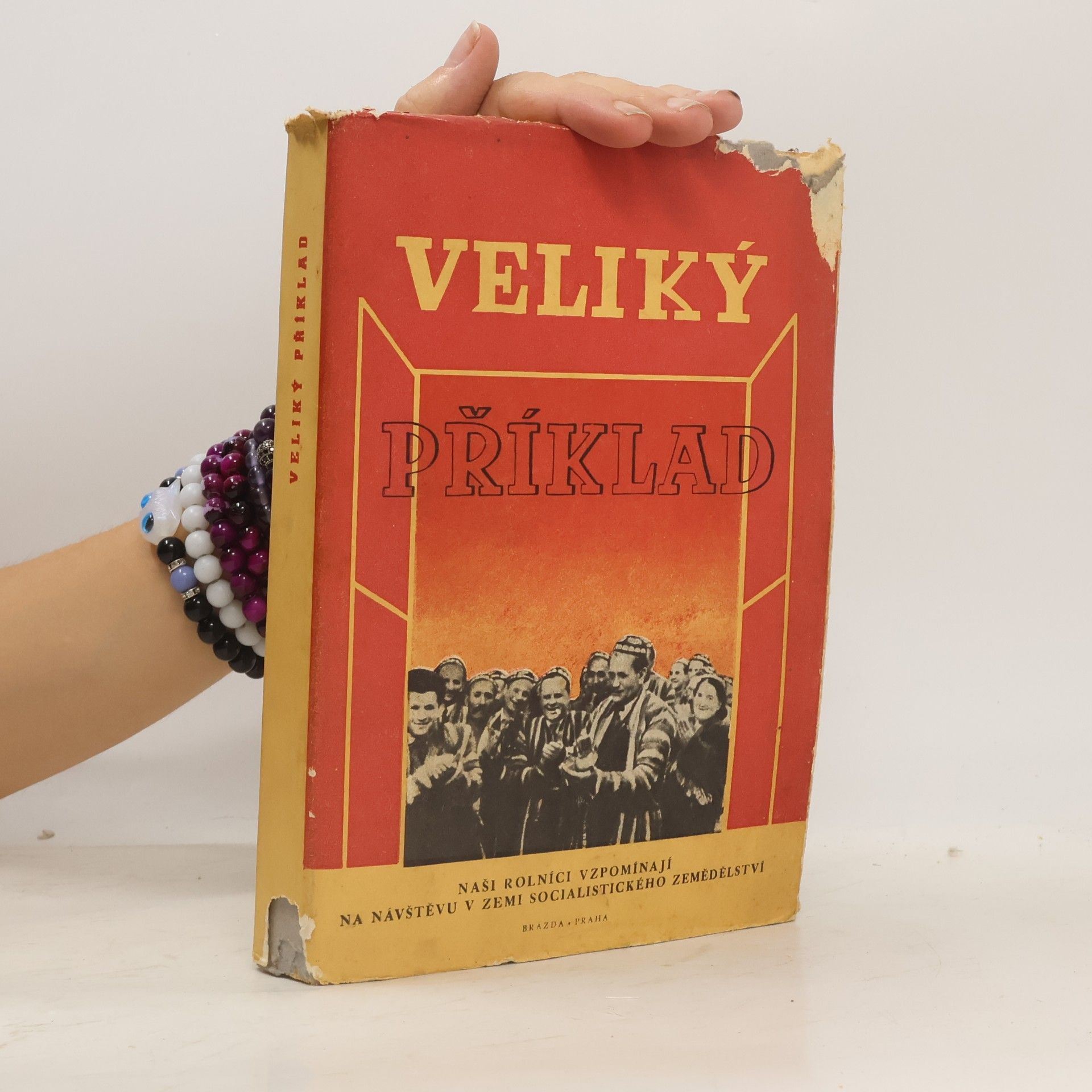 Kolektiv autorů Veliký příklad