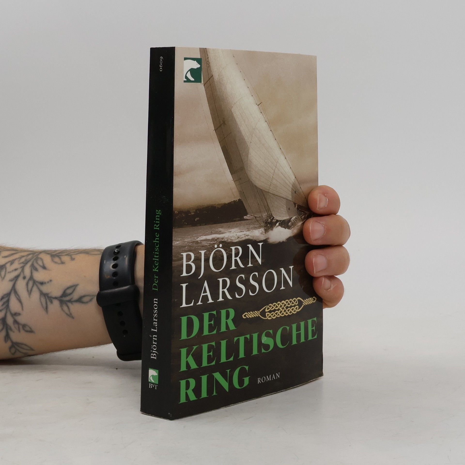 Björn Larsson Der keltische Ring