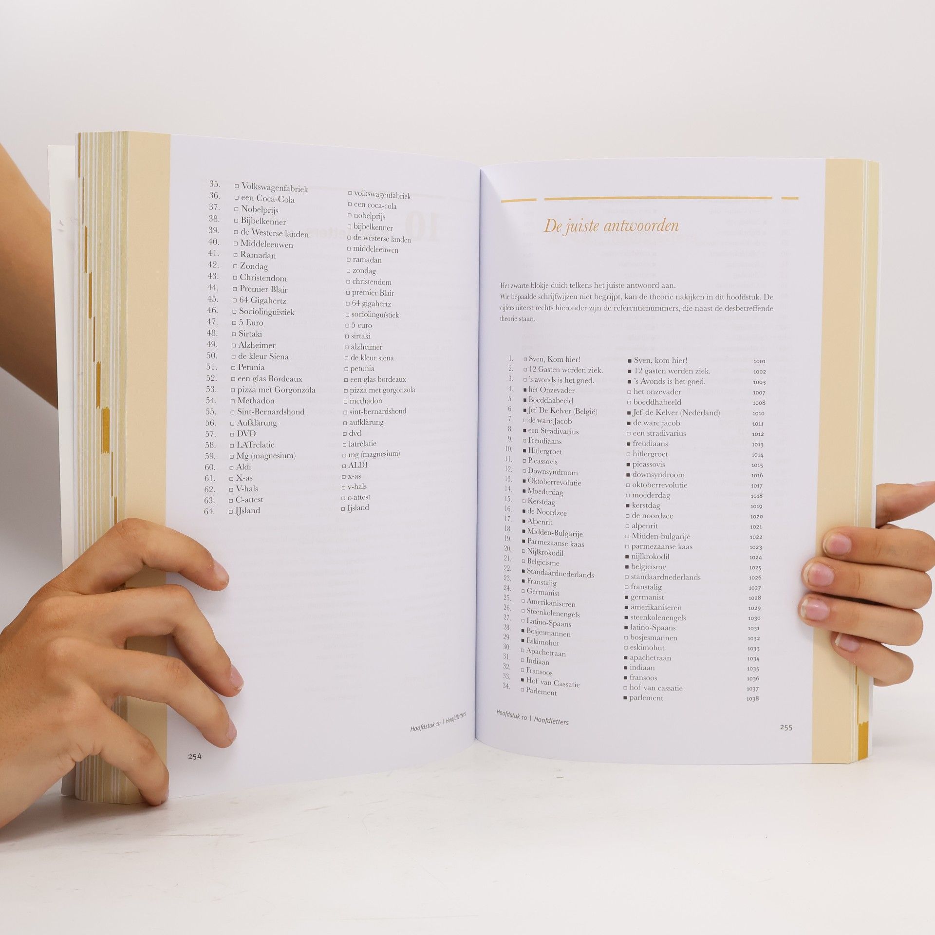 Johan De Schryver Handboek Spelling