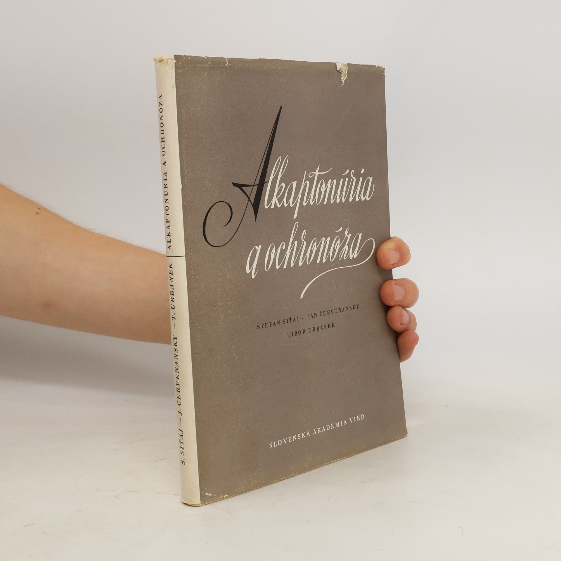 Autorenkollektiv Alkaptonúria a ochronóza