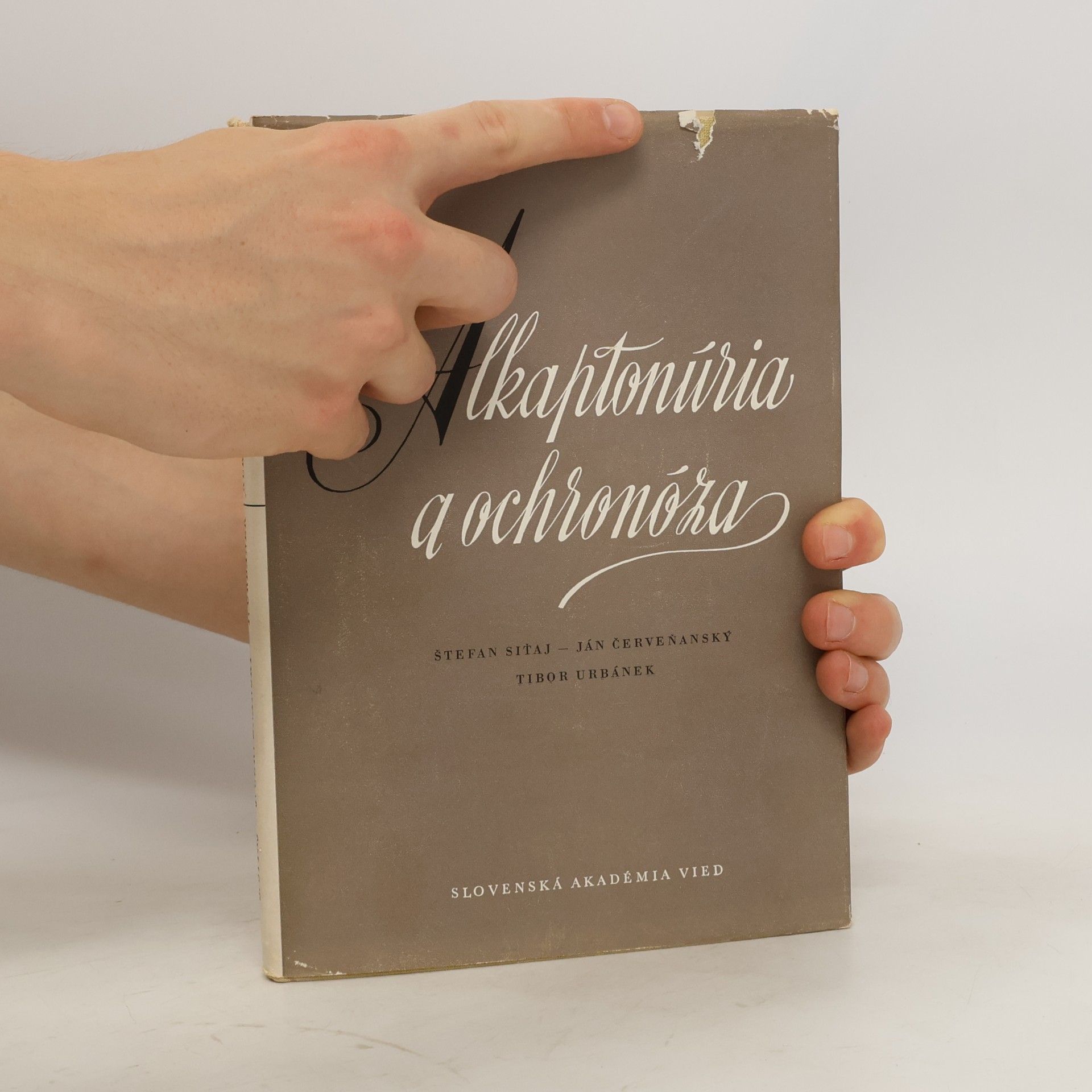 Autorenkollektiv Alkaptonúria a ochronóza
