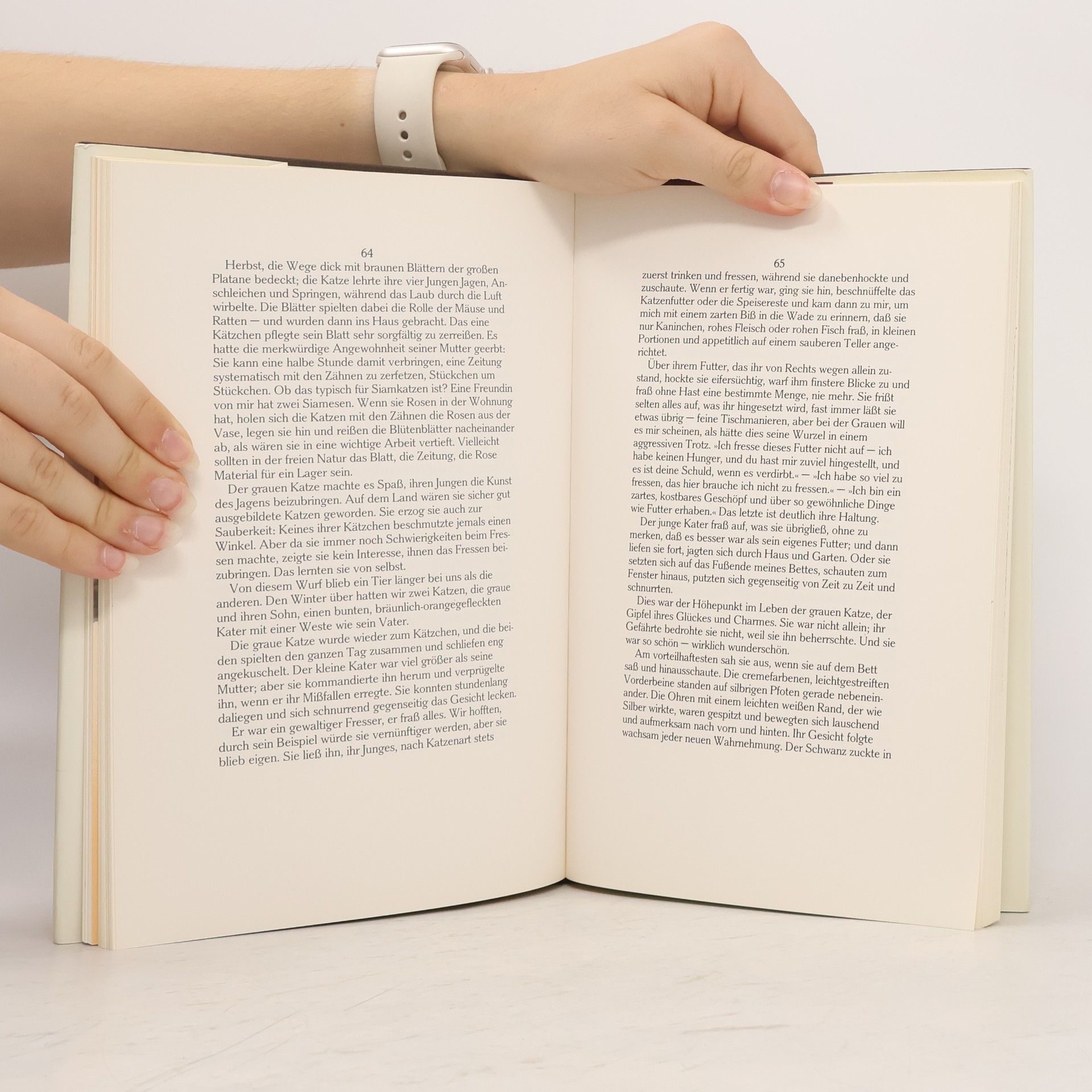 Doris Lessing Doris Lessings Katzenbuch