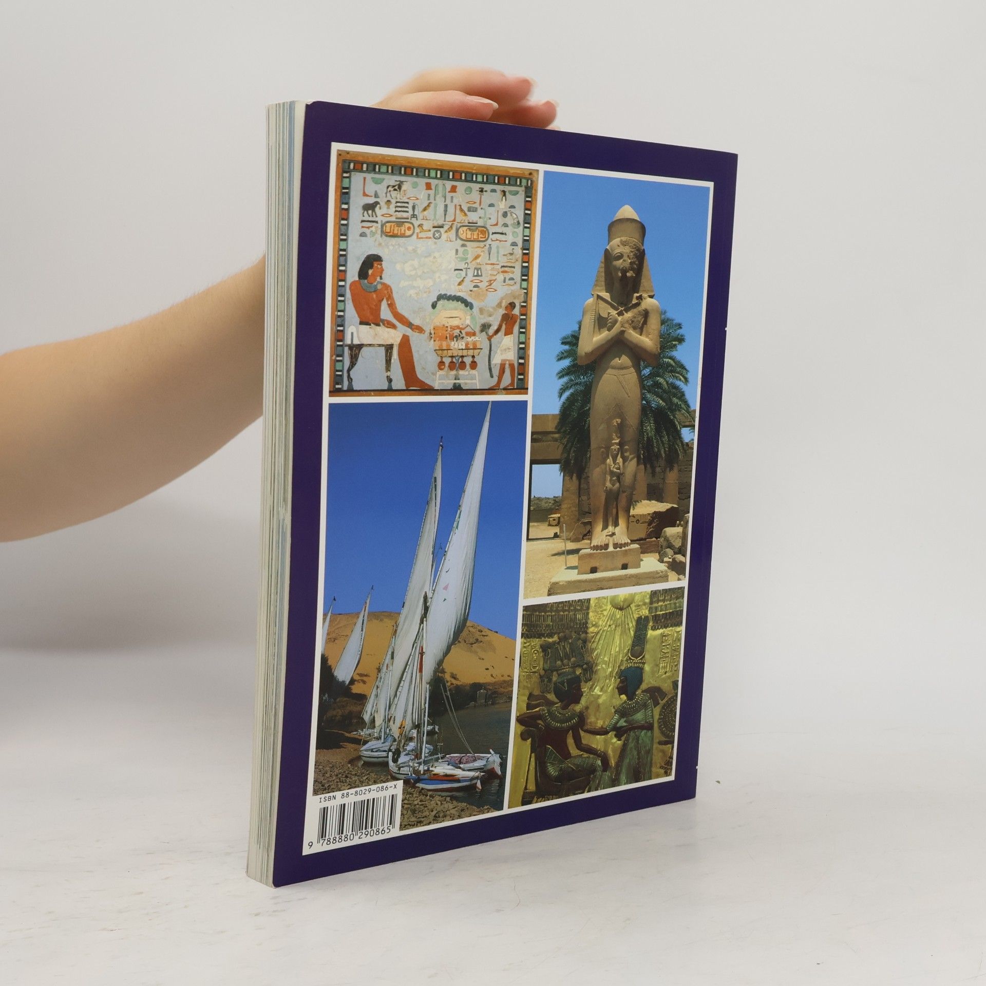 Alberto Carlo Carpiceci Art and History of Egypt