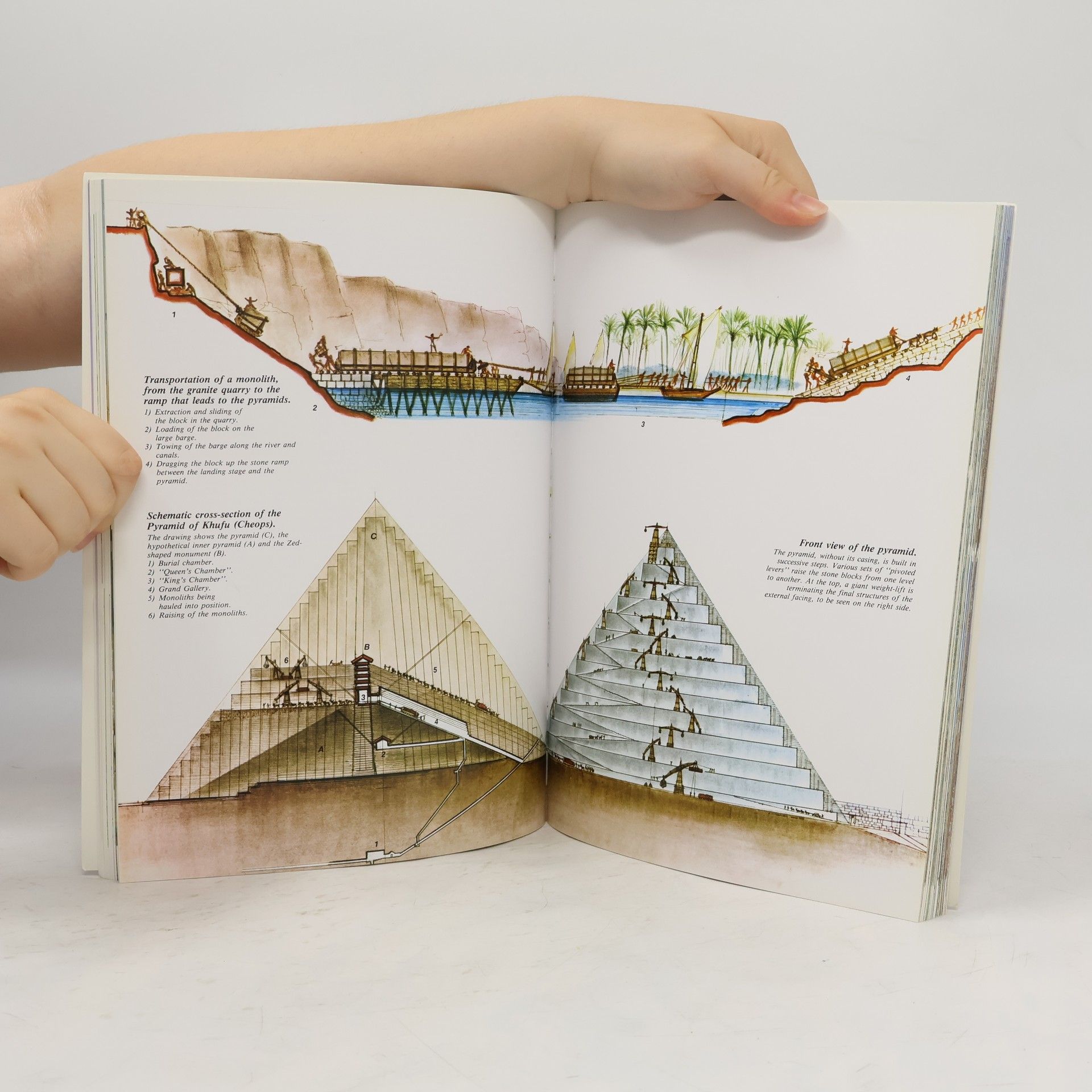 Alberto Carlo Carpiceci Art and History of Egypt