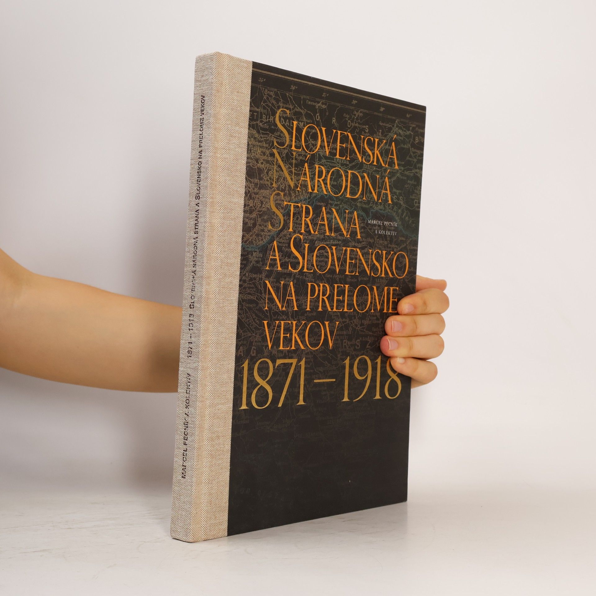 Autorenkollektiv Slovenská národná strana a Slovensko na prelome vekov 1871-1918