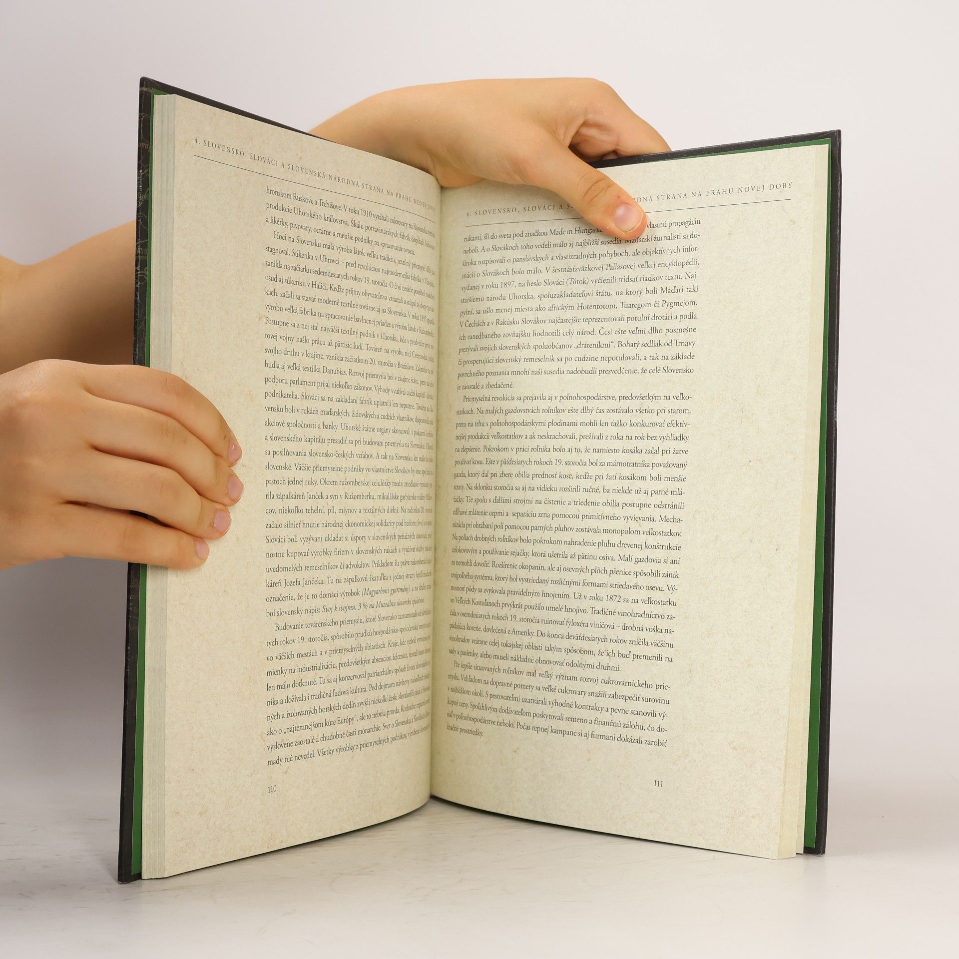 Autorenkollektiv Slovenská národná strana a Slovensko na prelome vekov 1871-1918