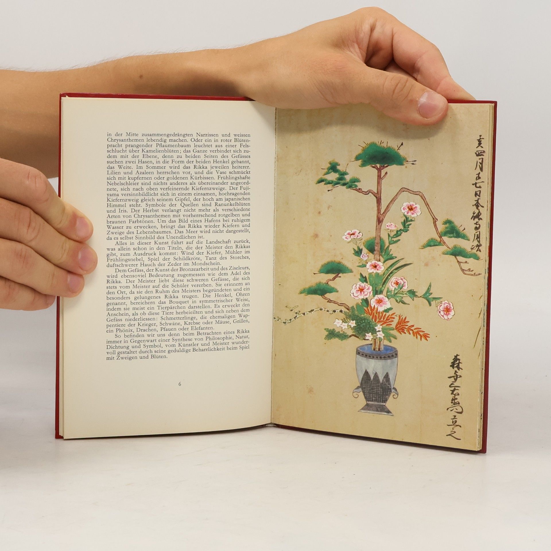 Kolektív autorov Altjapanisches Blumenbuch