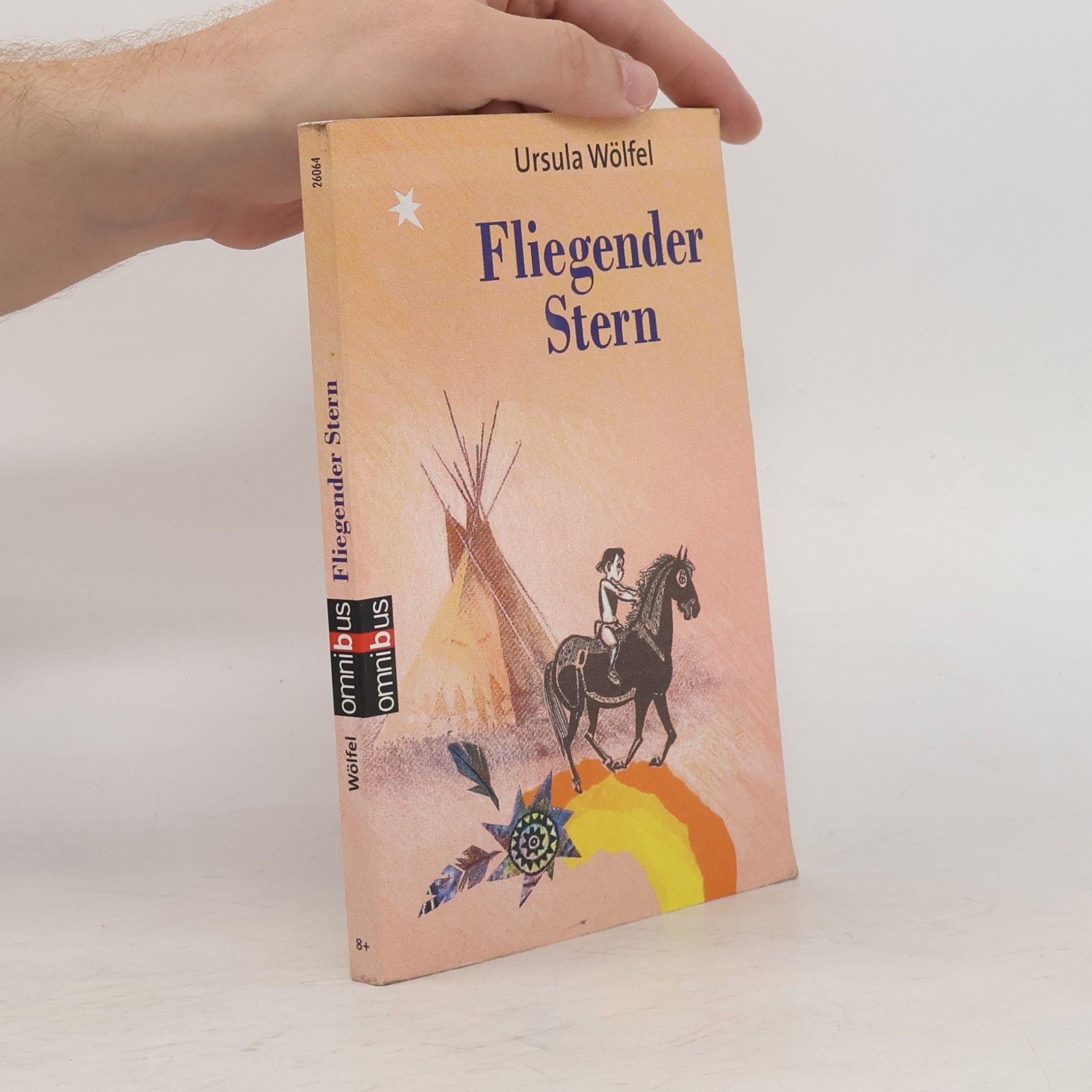Ursula Wölfel Fliegender Stern