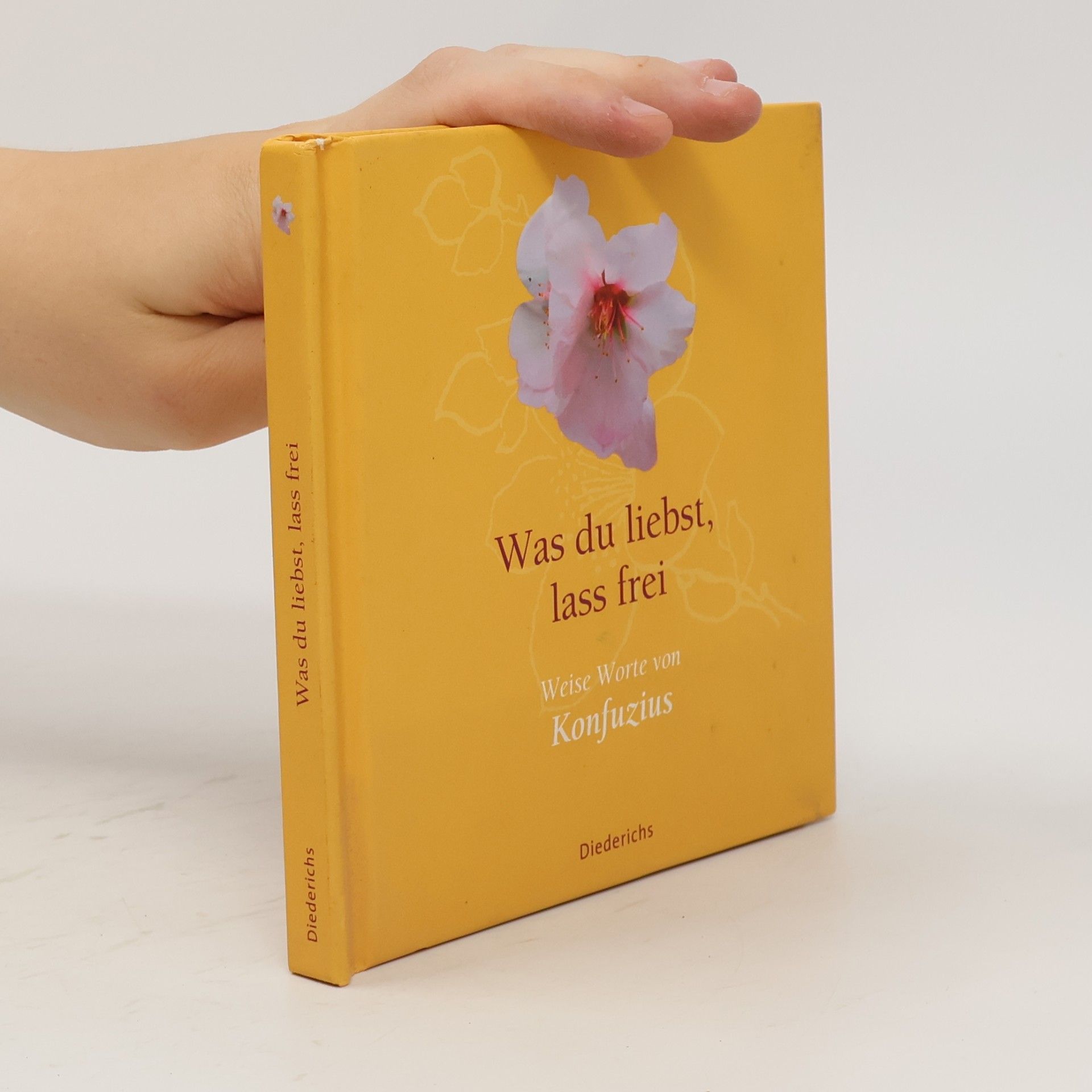 Kung Fu-Tse Was du liebst, lass frei: Weise Worte von Konfuzius
