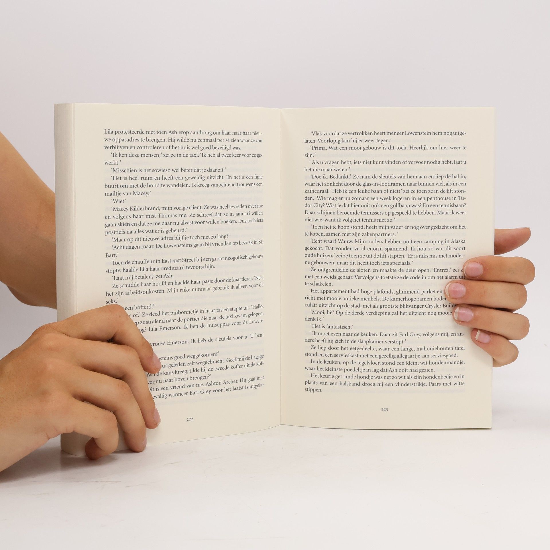 Nora Roberts de schilder