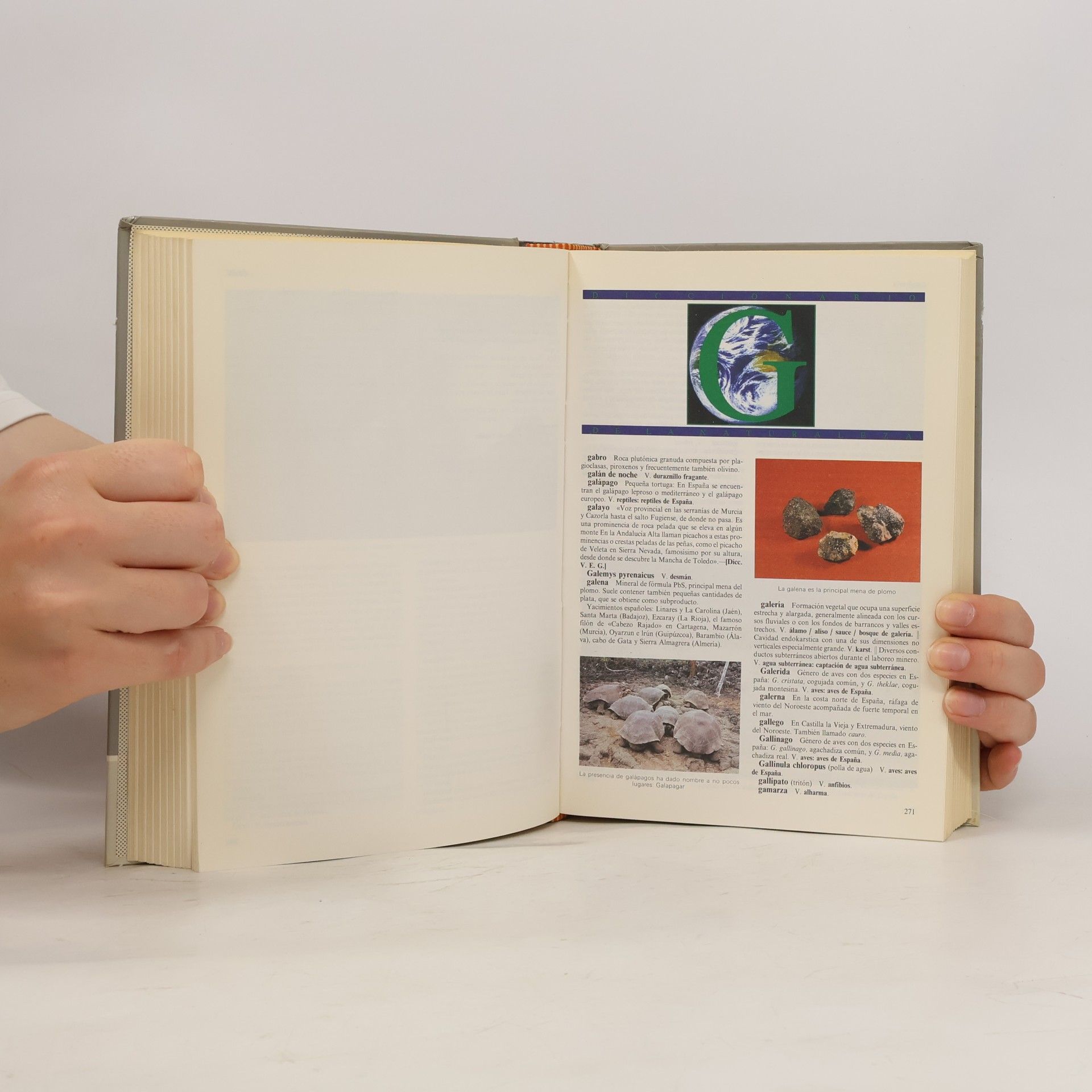 Various authors Diccionario de la naturaleza