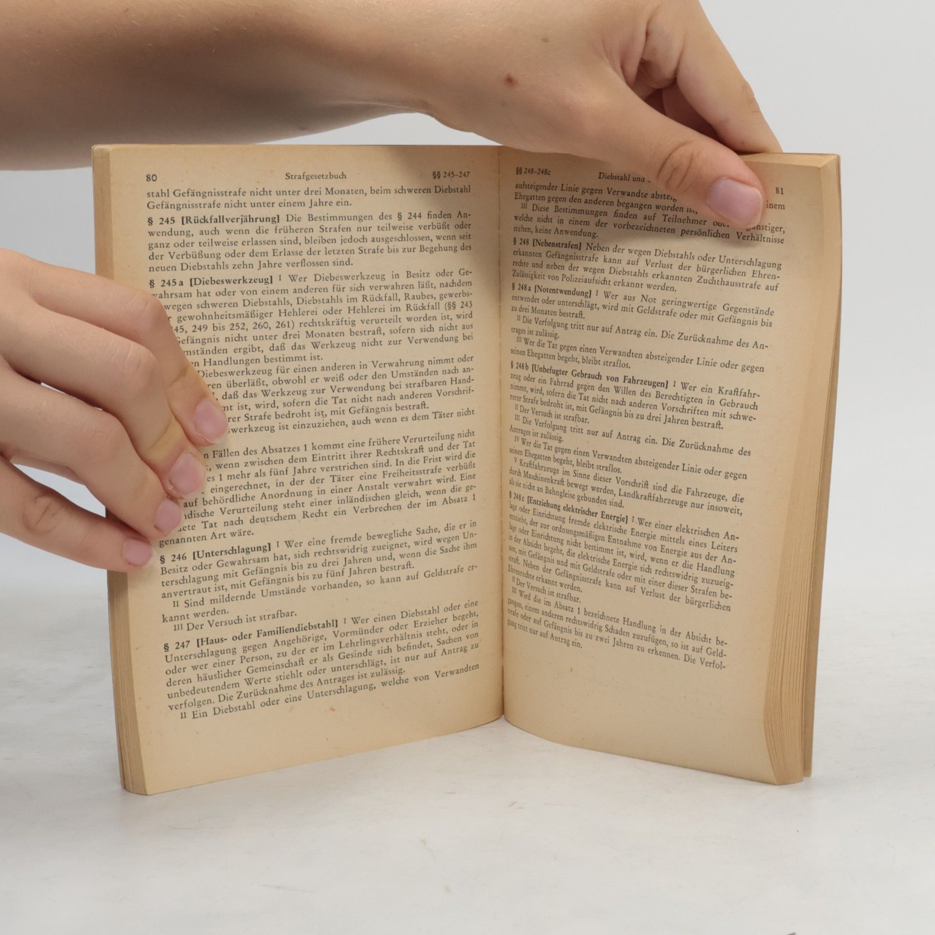 Autorenkollektiv Das Strafgesetzbuch