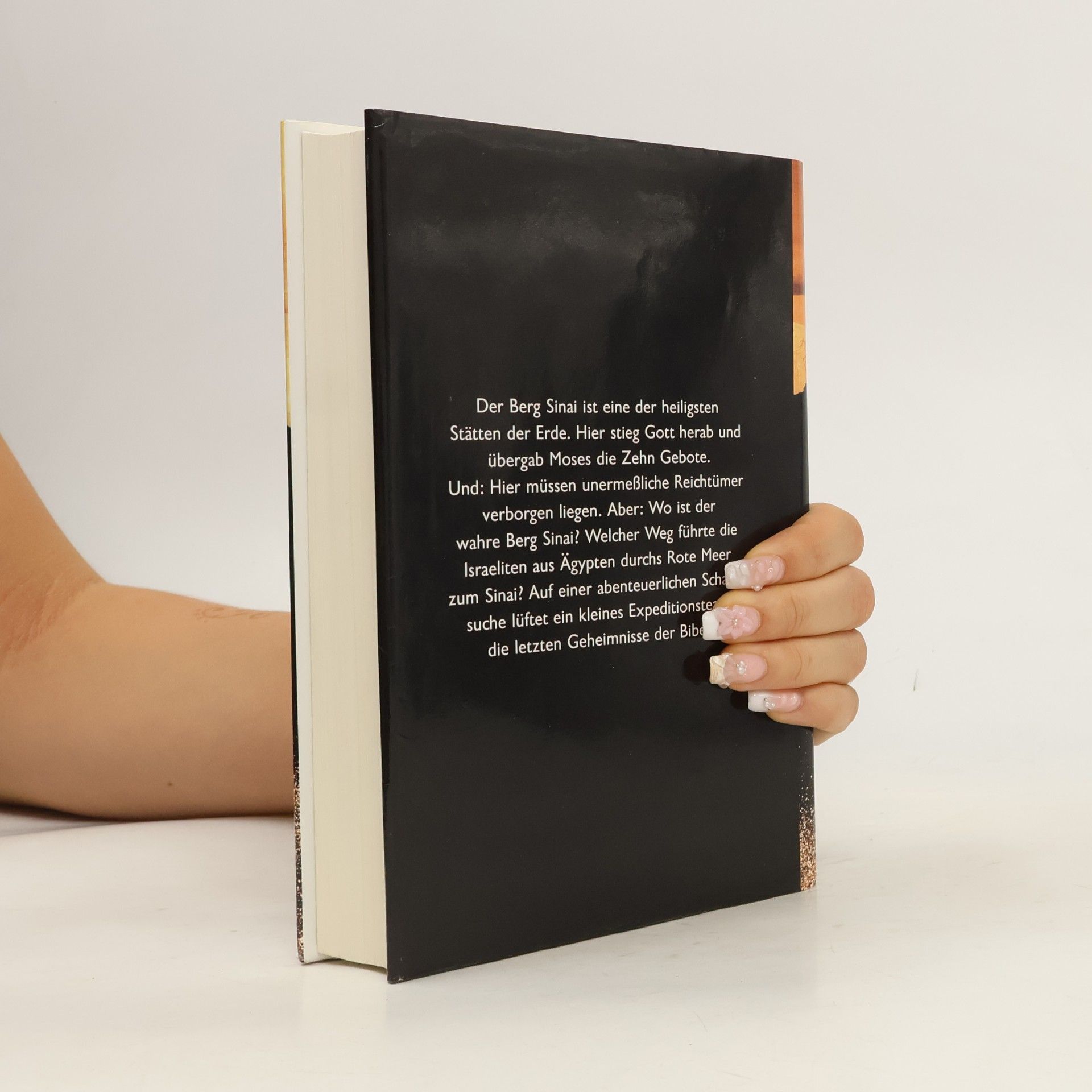 Howard Blum Der Schatz der Bibel