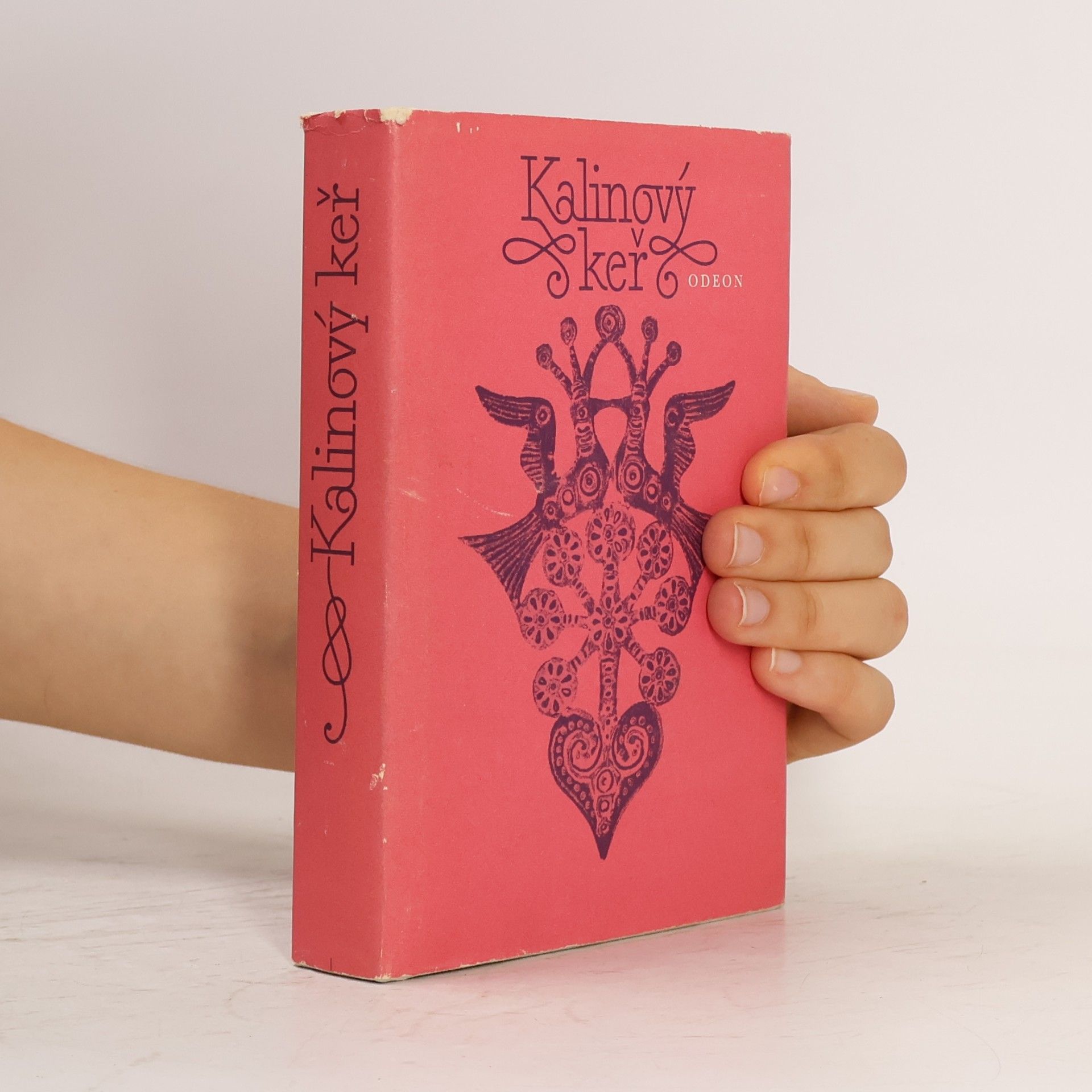Kolektiv autorů Kalinový keř