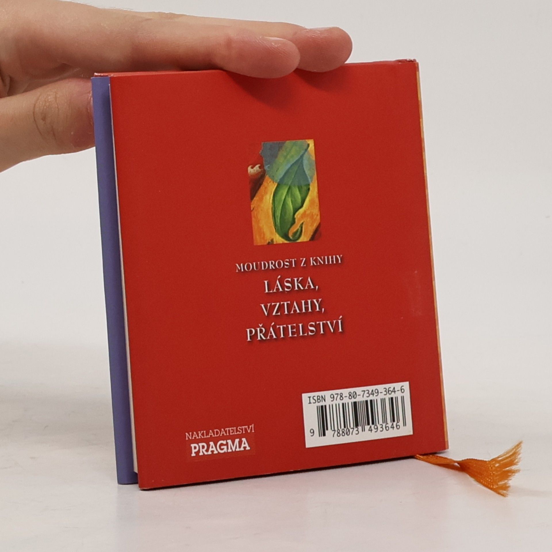 Don Miguel Ruiz Moudrost z knihy Láska, vztahy, přátelství