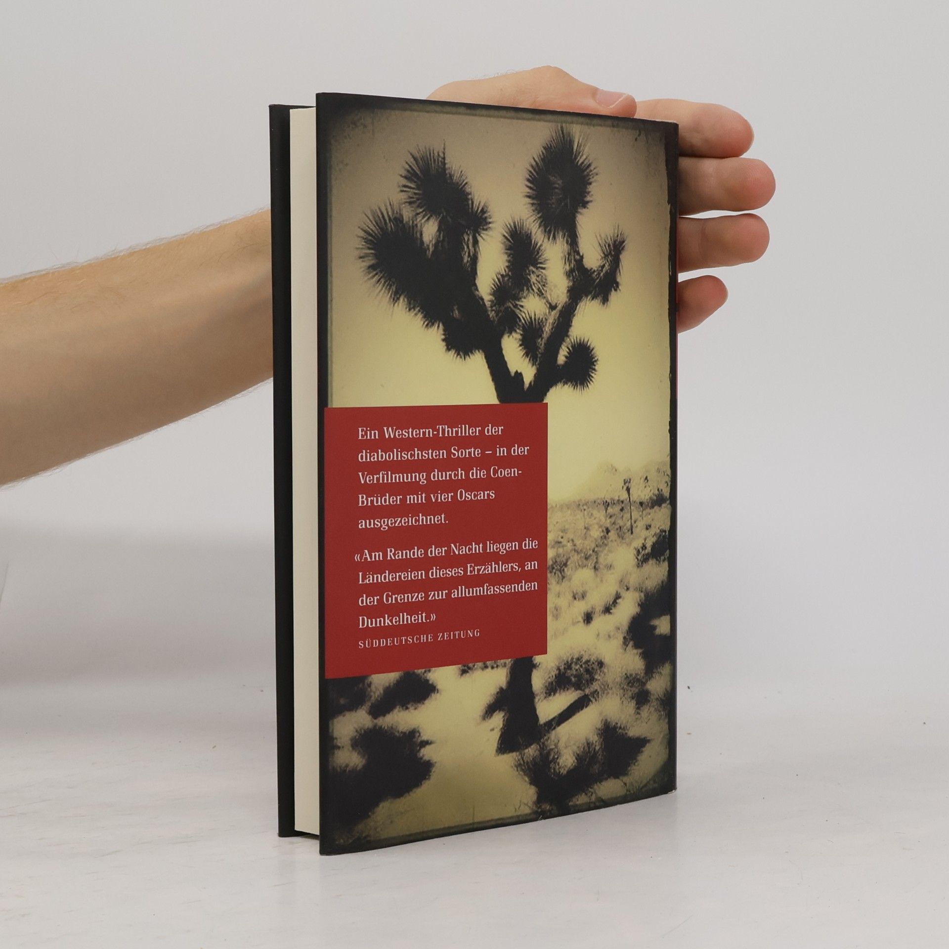 Cormac McCarthy Kein Land für alte Männer